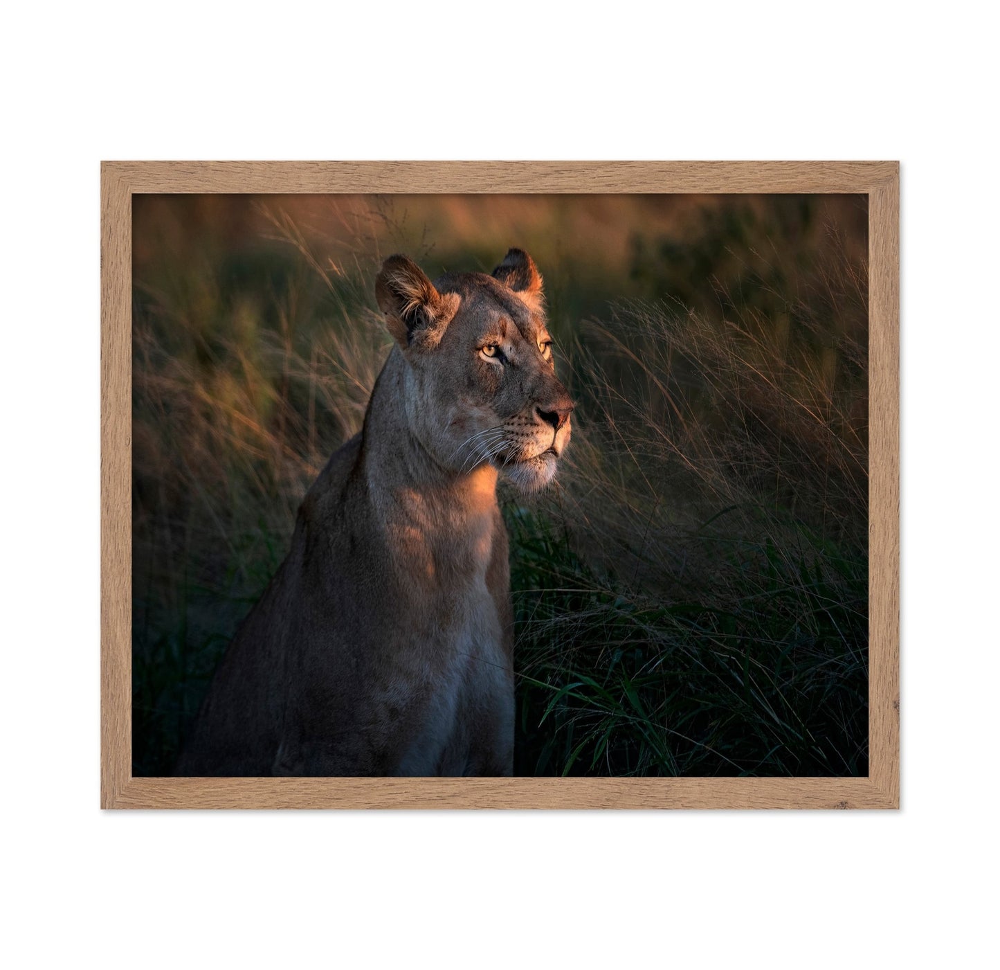 Lioness Golden Watch