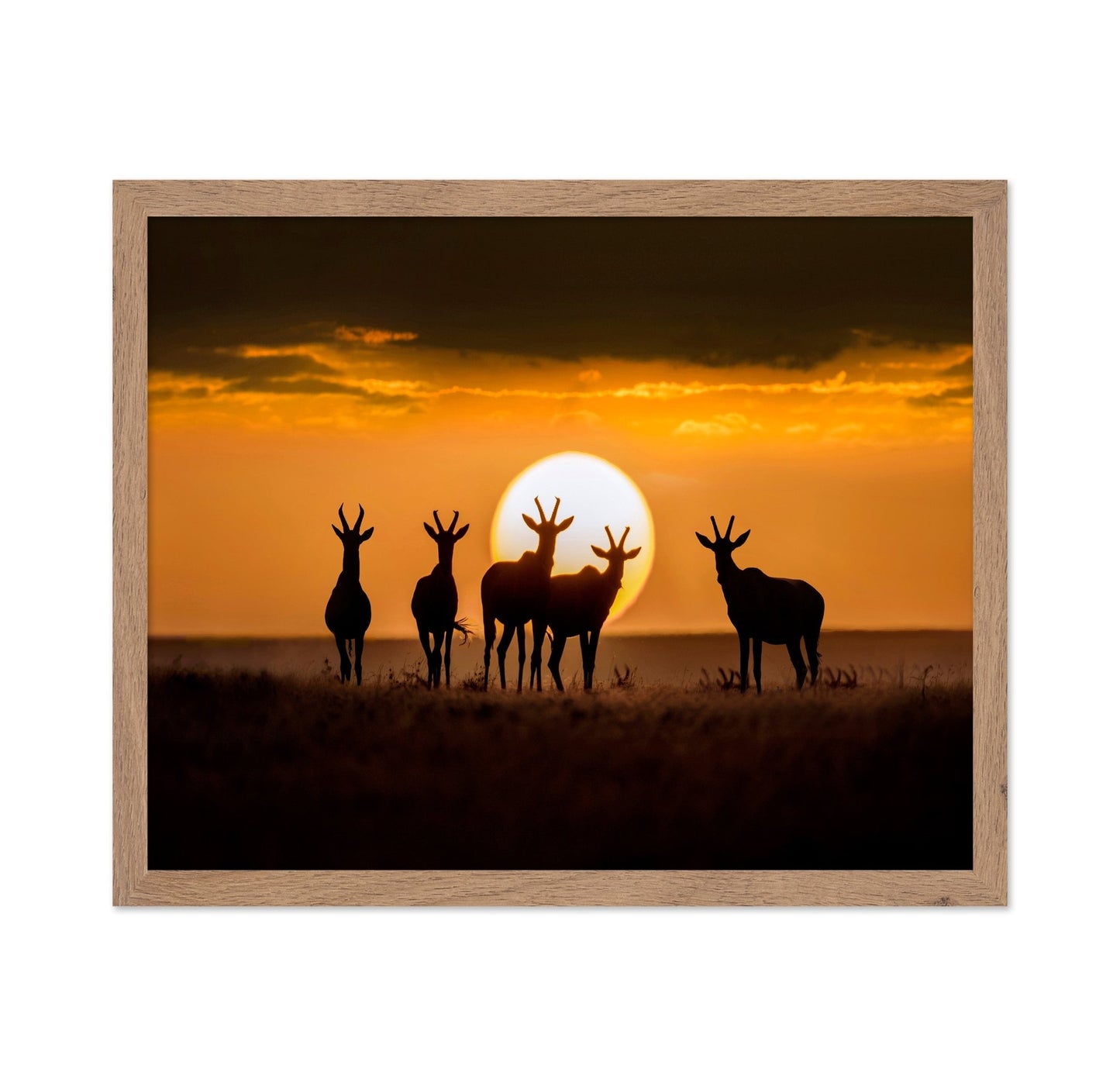 Antelope Sunset