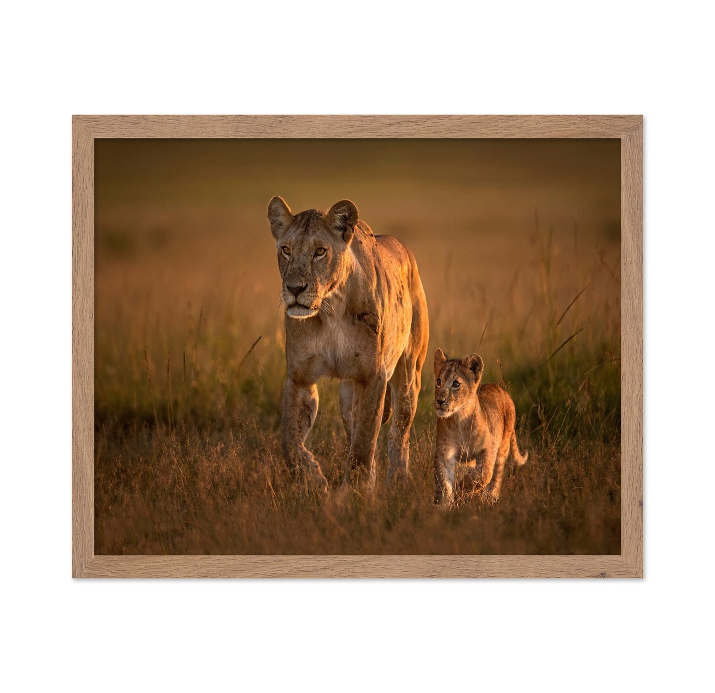 Lioness And Cub
