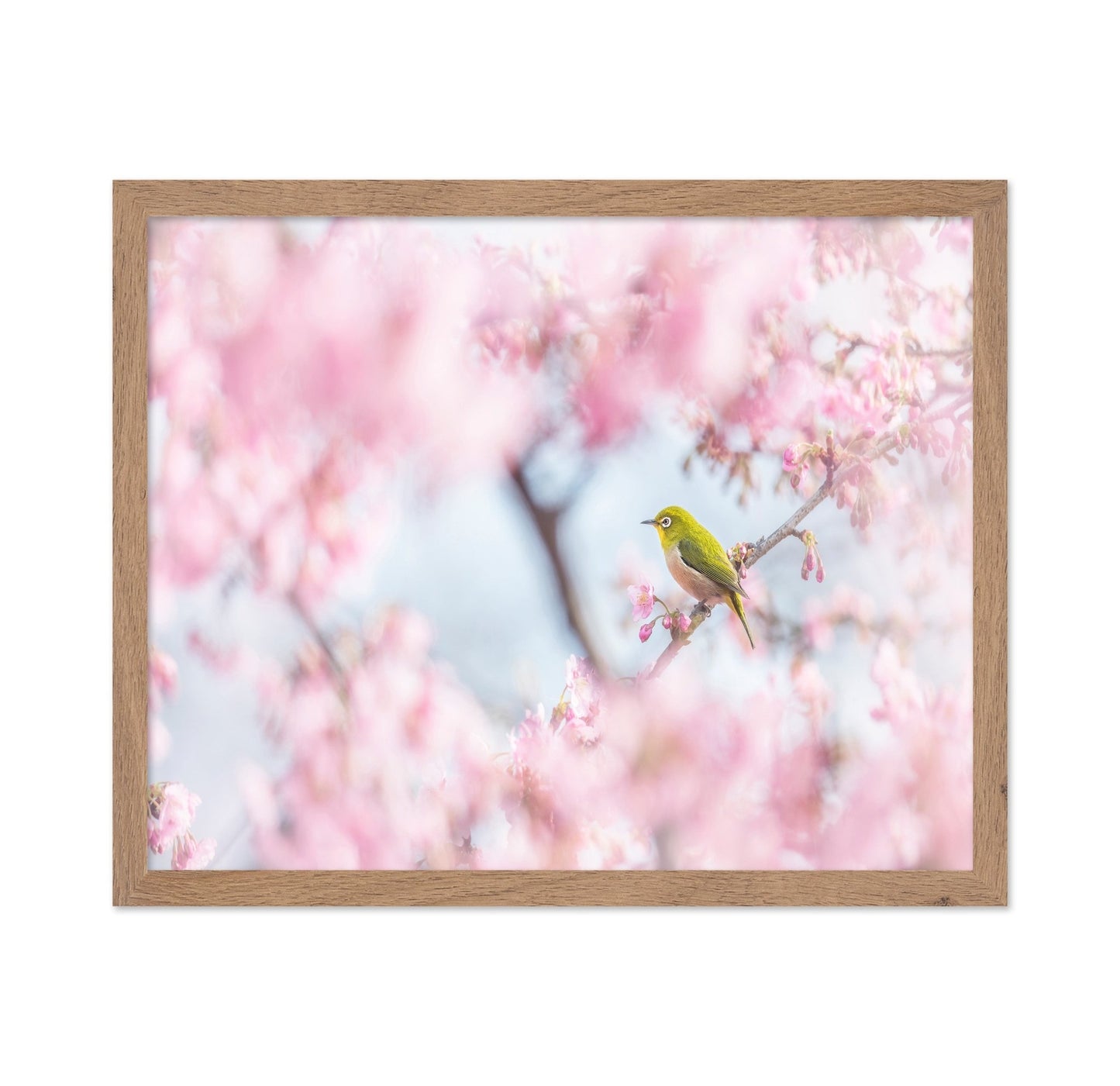 Spring Bird Blossom