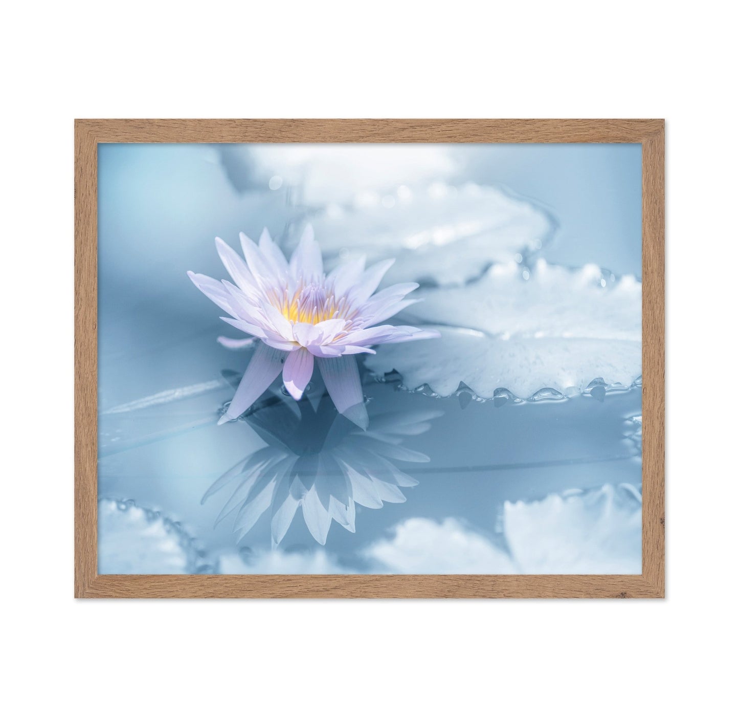 Soft Lily Reflection