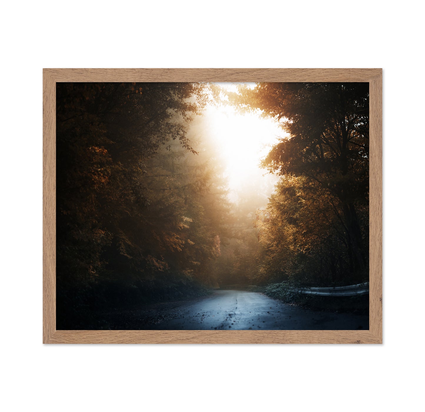 Forest Road Light