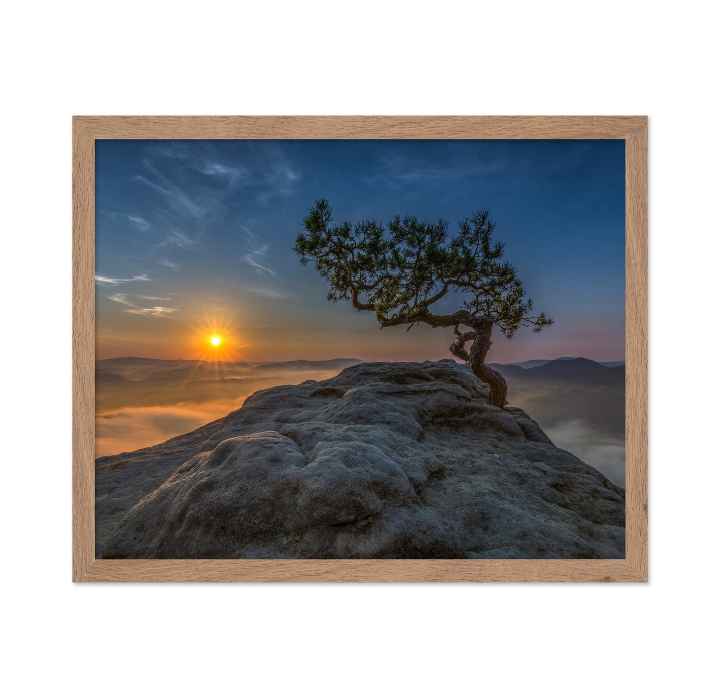 Lone Tree Sunrise