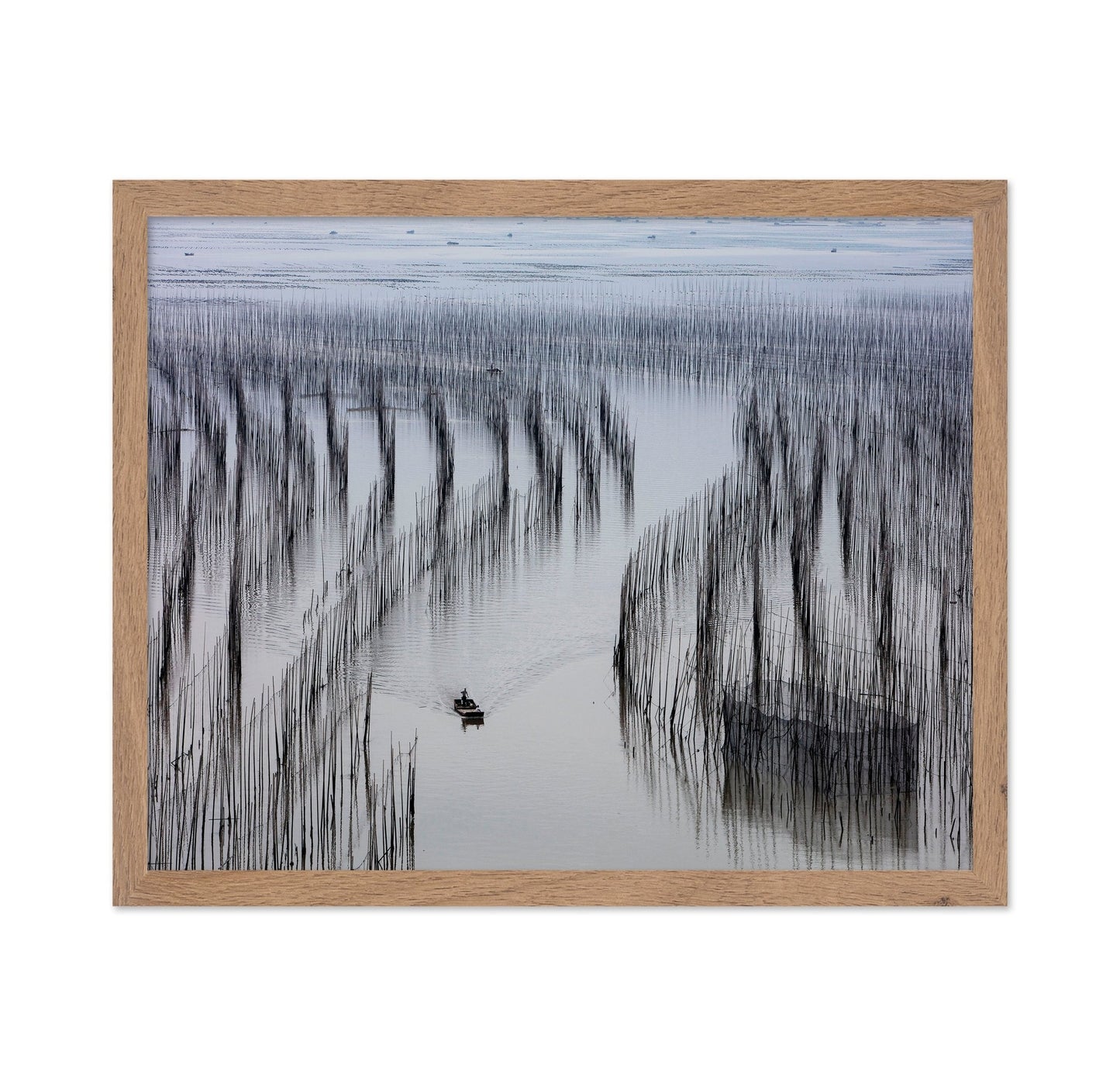 Fishing Lines Bay