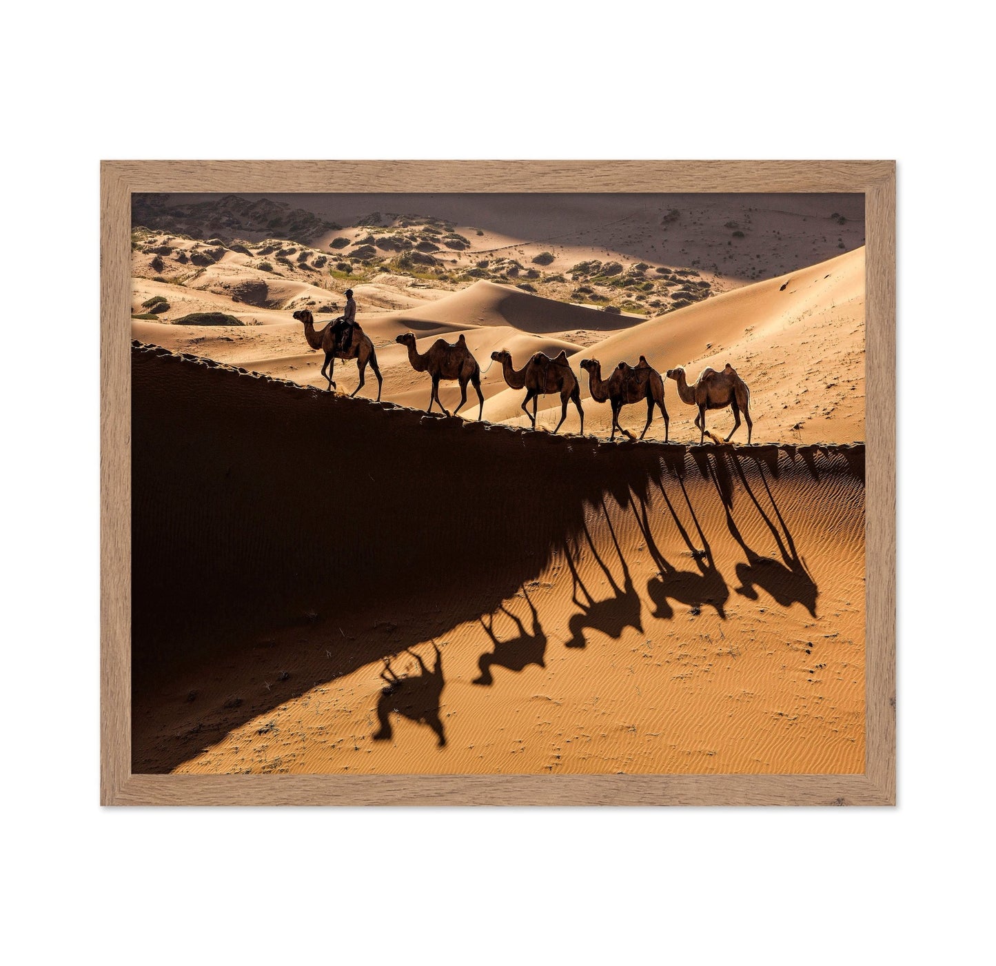 Desert Caravan Shadows