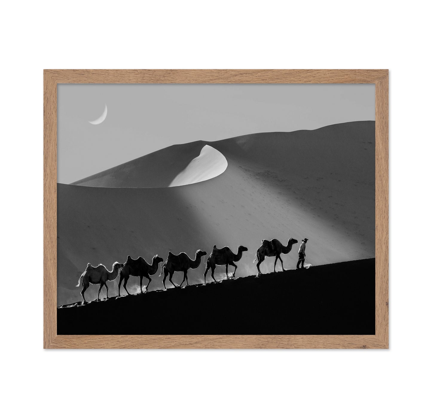 Desert Caravan Line