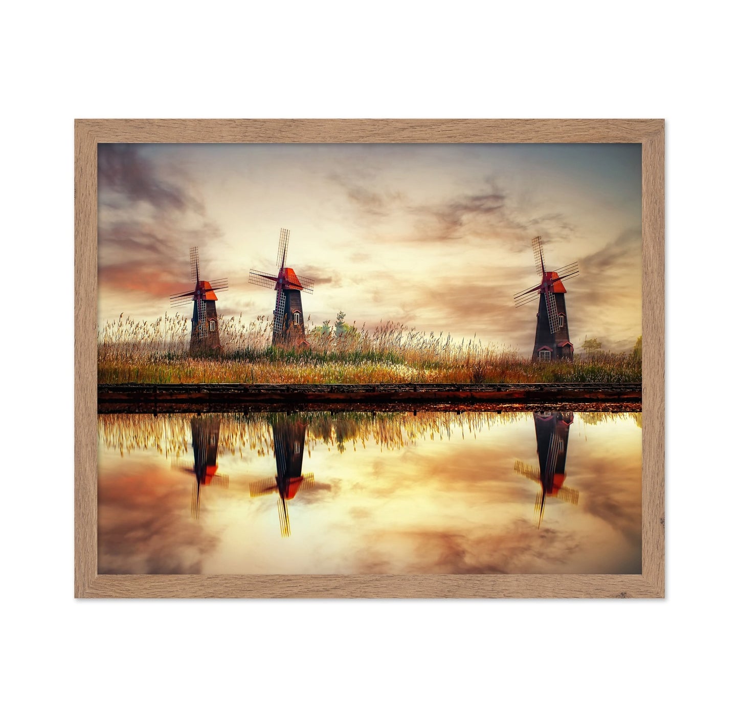 Windmill Reflection Field