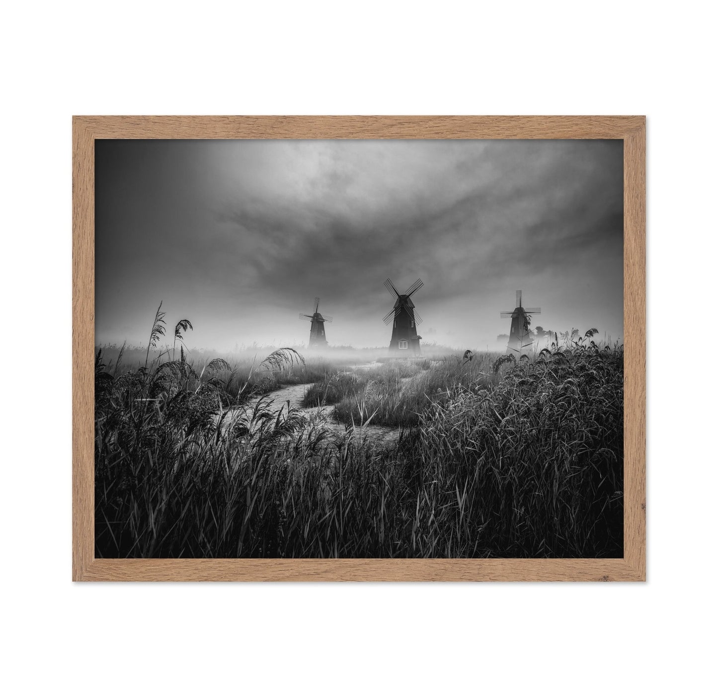 Misty Windmill Fields