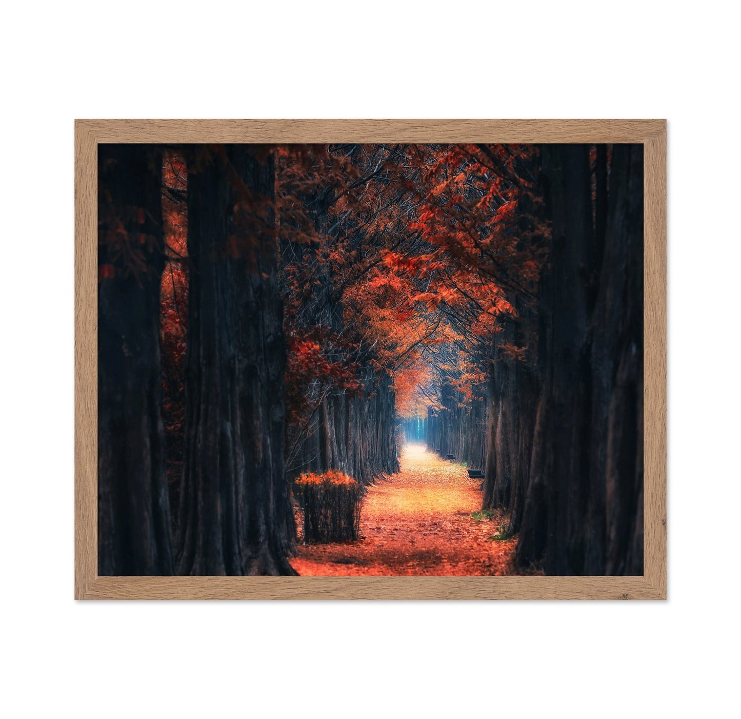 Autumn Forest Path No4
