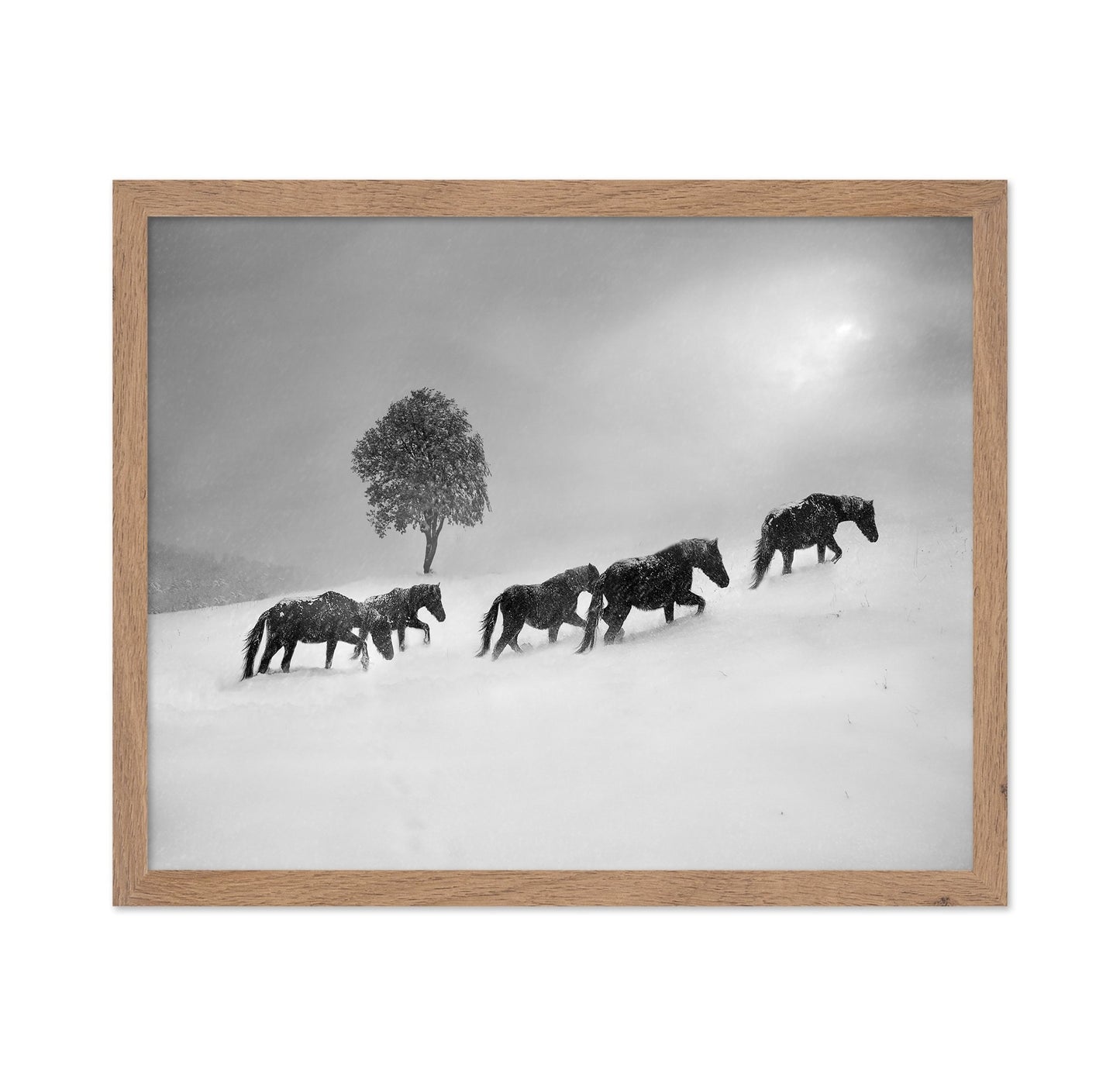 Horses In Snow Storm