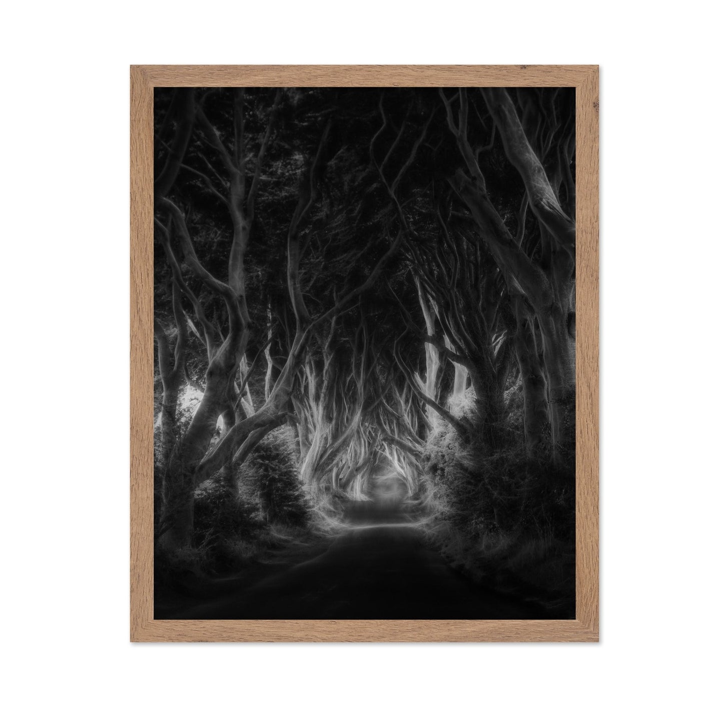 Dark Forest Tunnel