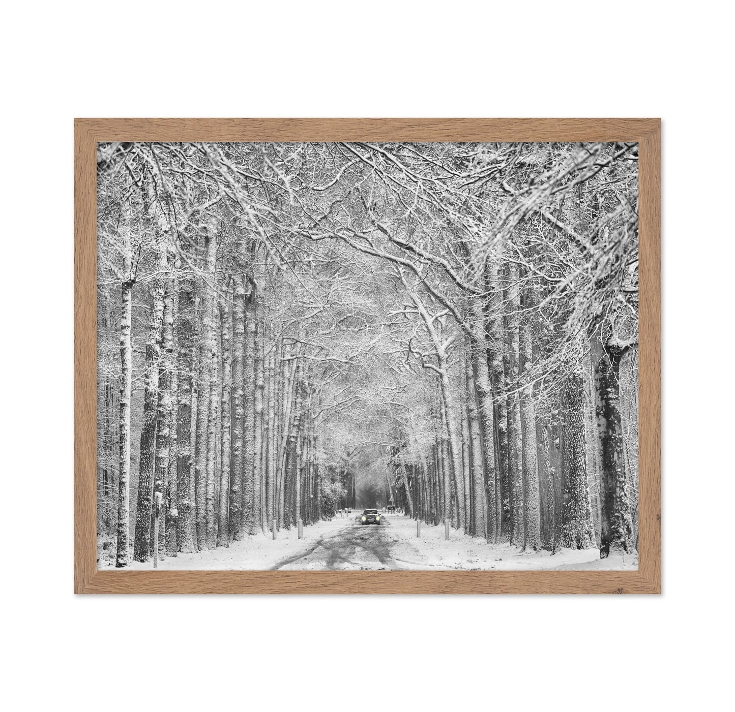 Snowy Forest Road