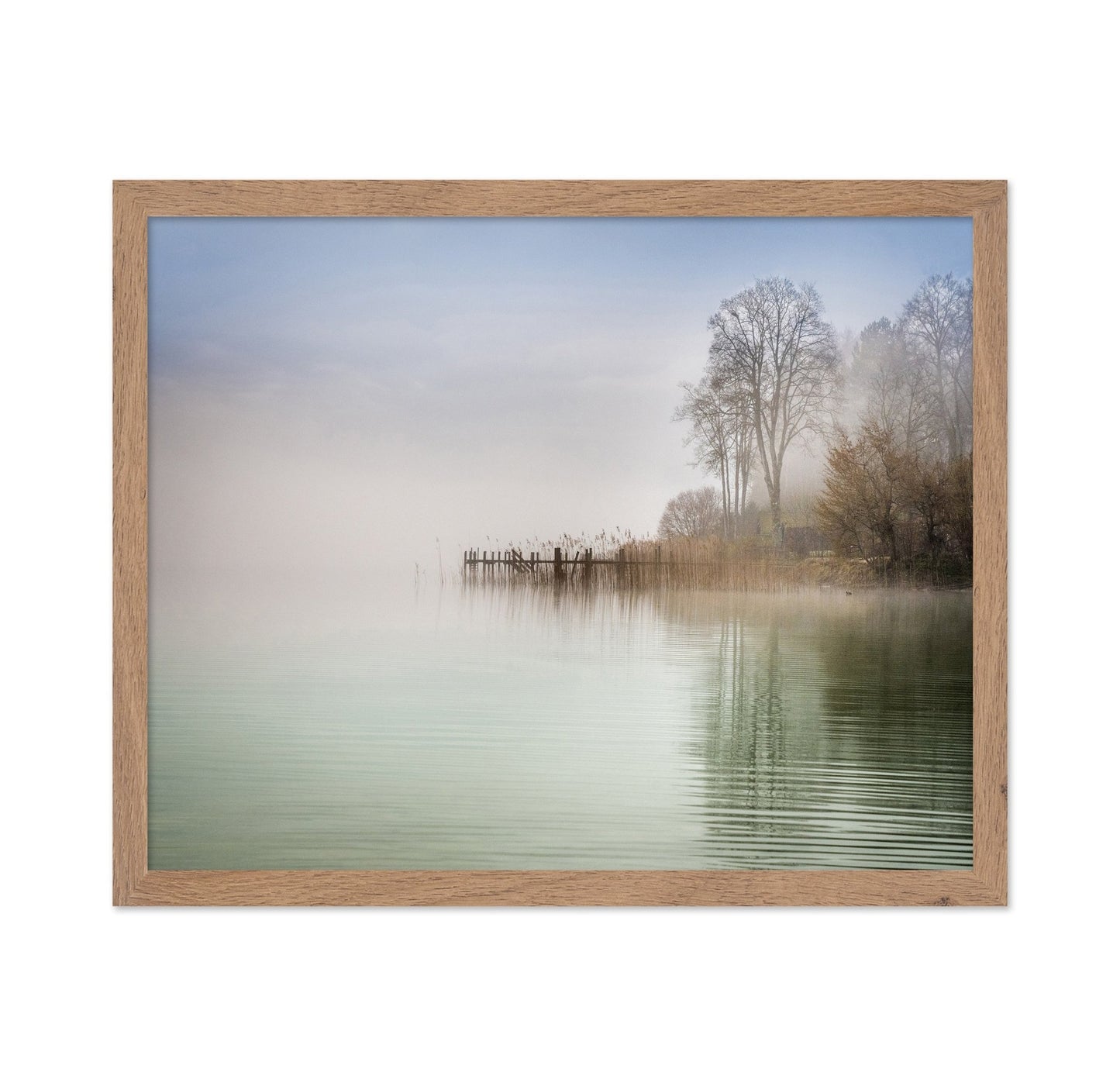 Misty Lake Shore