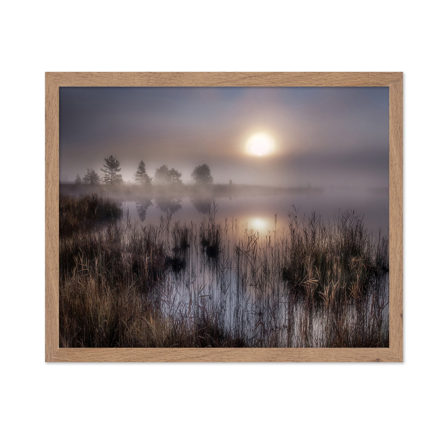 Misty Marsh Sunrise No1