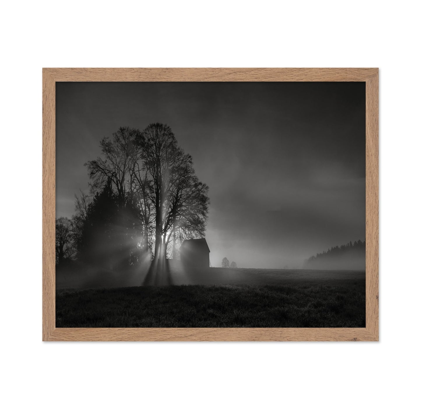 Silent Farm Dawn