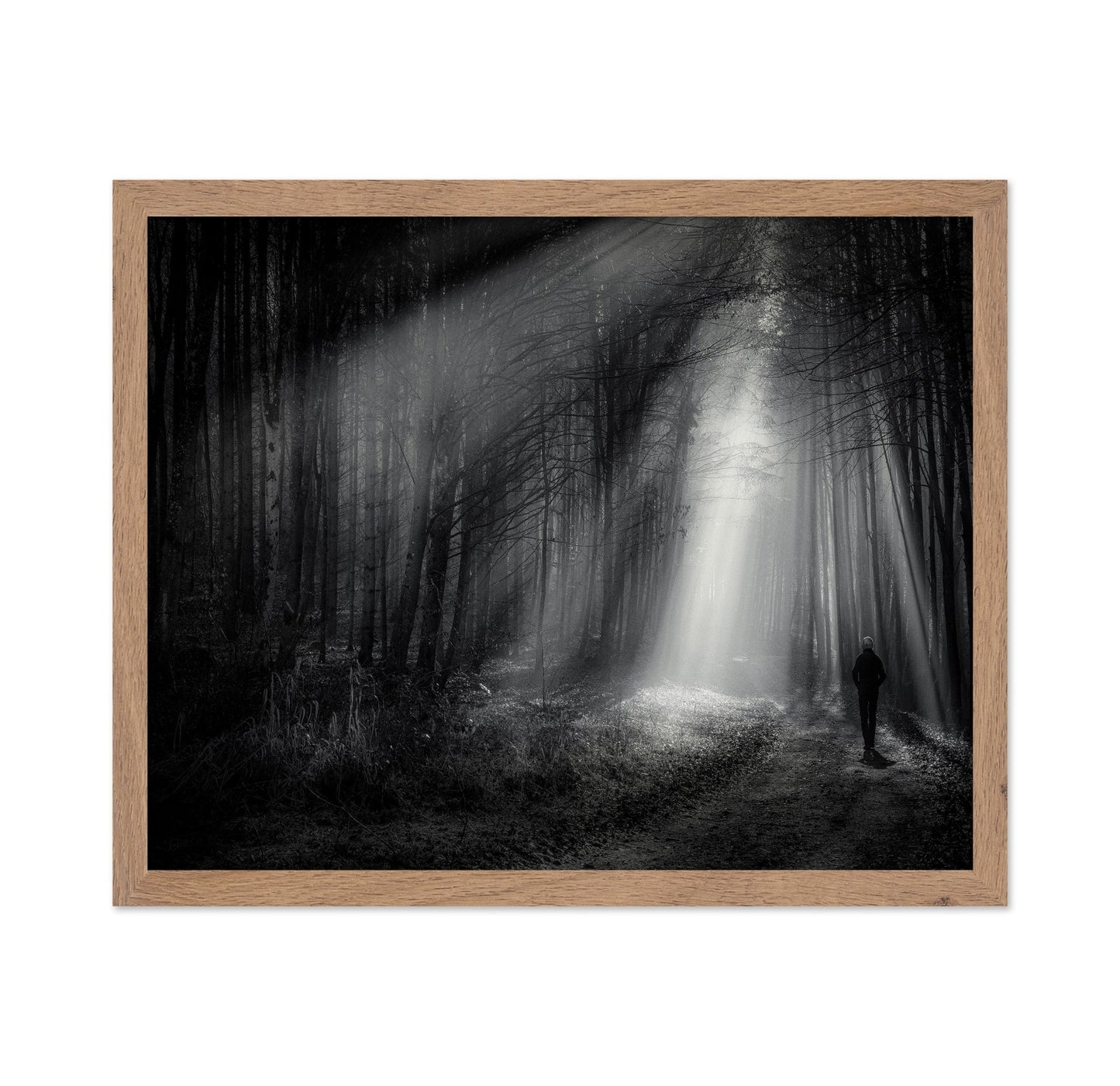 Light Path Forest