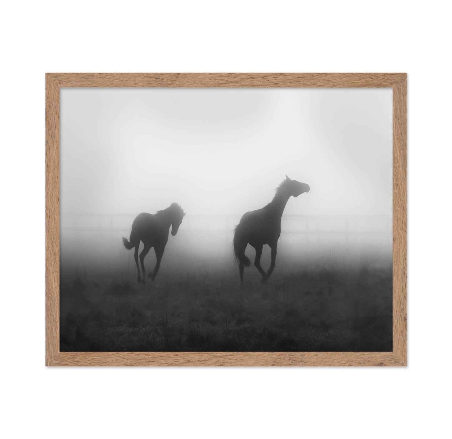 Misty Horses Run