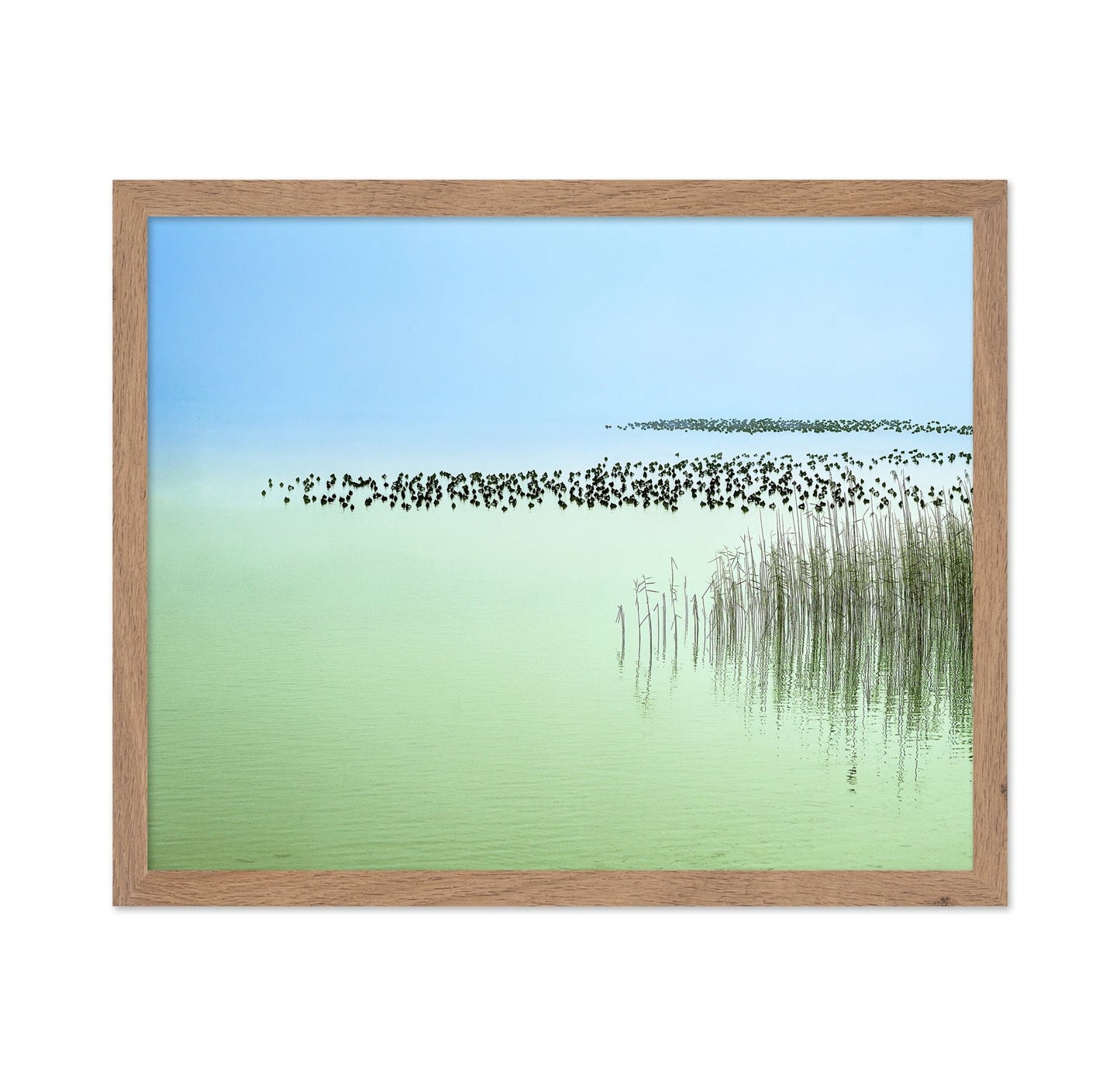 Minimal Lake Reeds