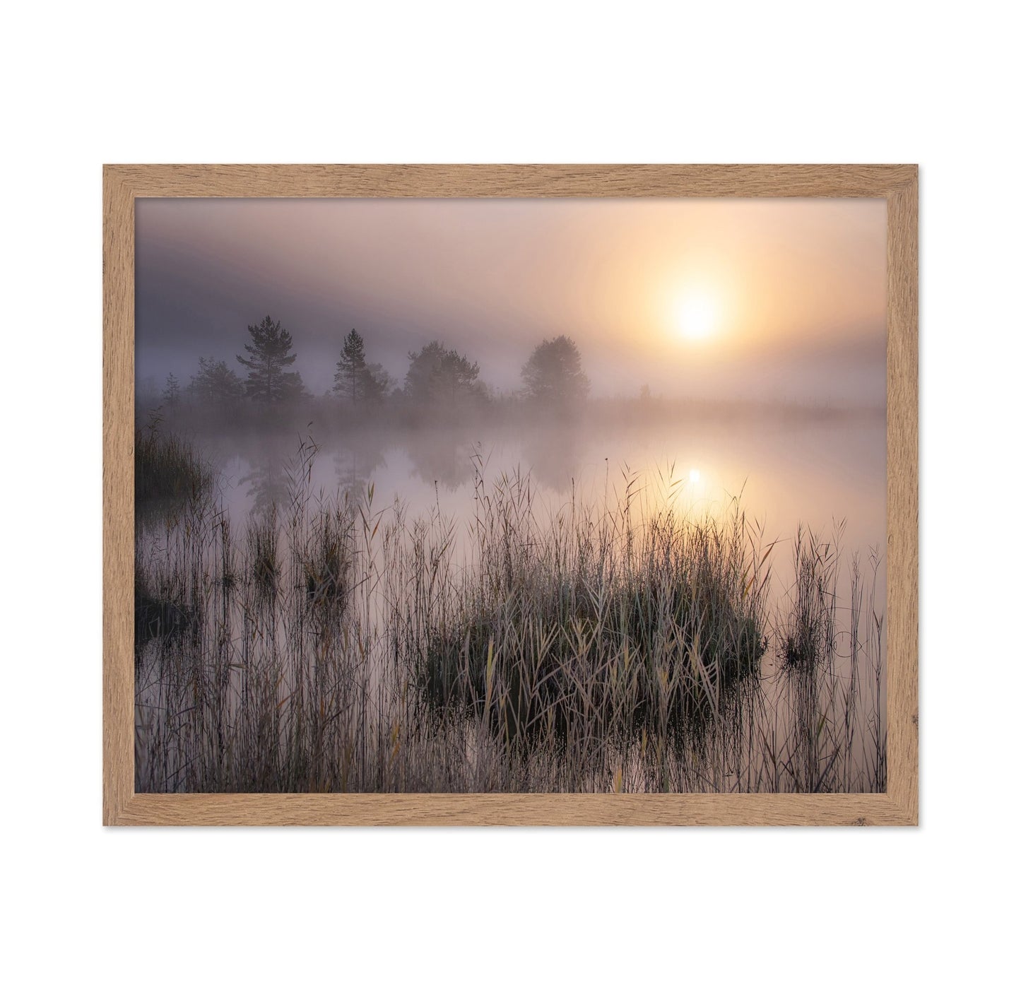 Misty Marsh Sunrise No2