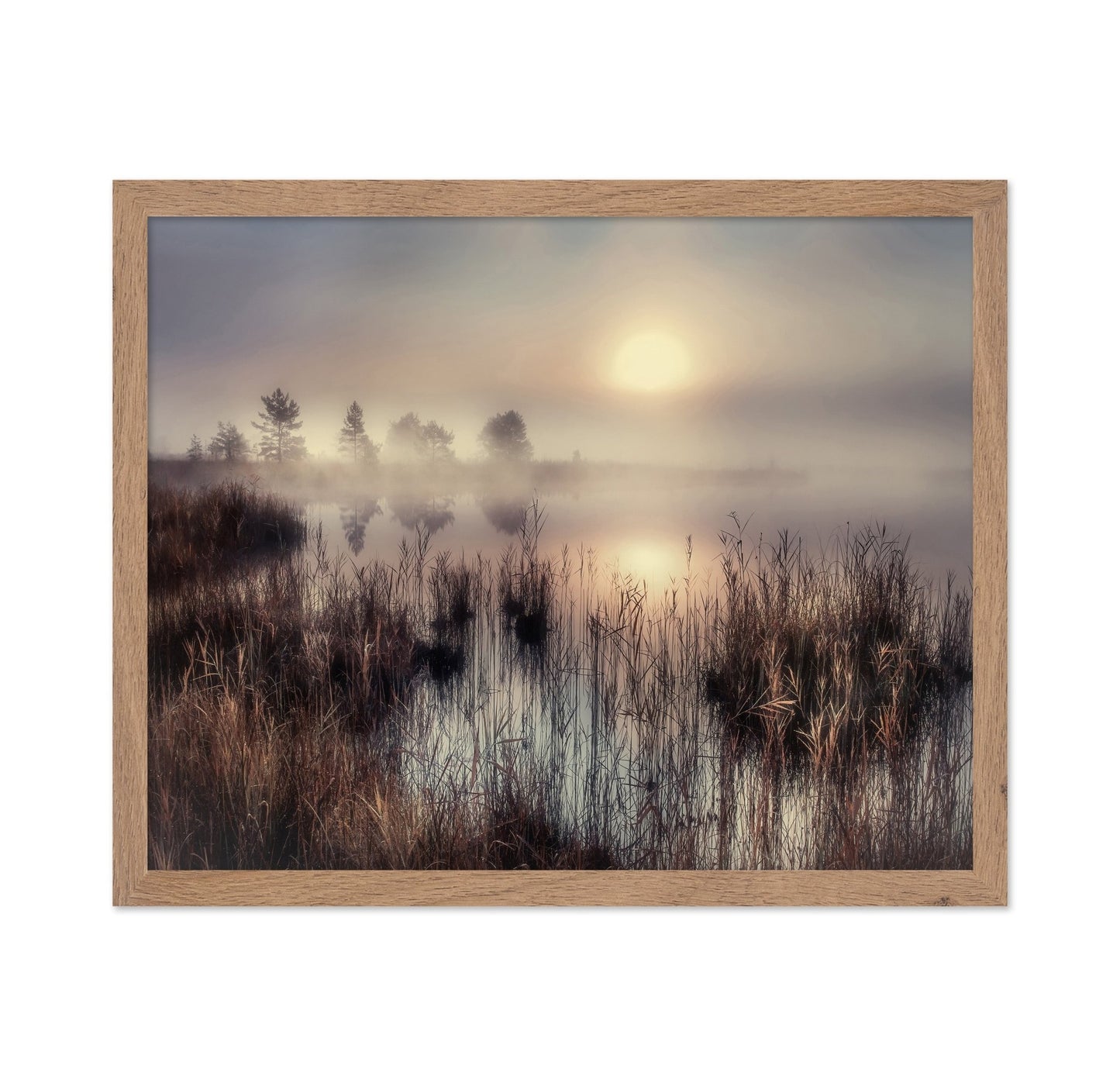 Misty Lake Sunrise No3