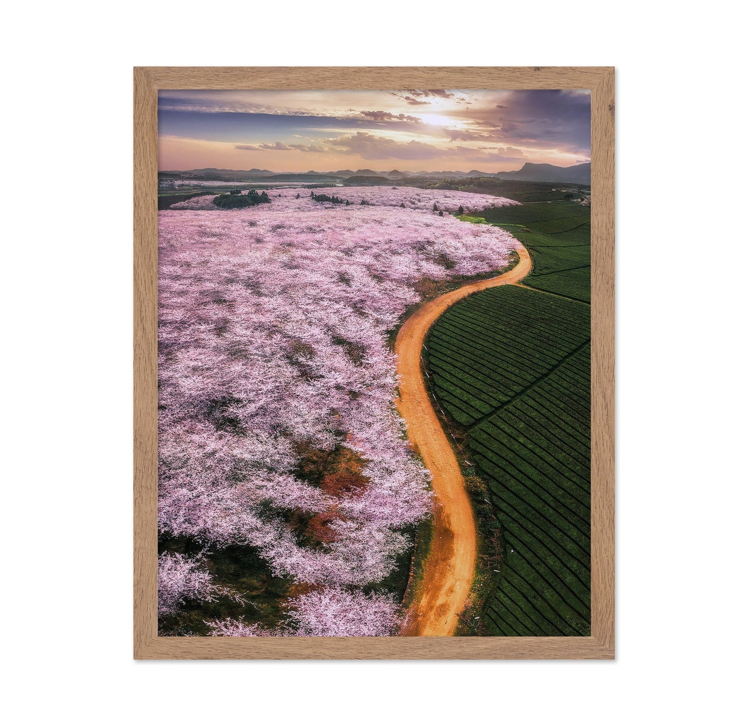 Blossom Valley Curve