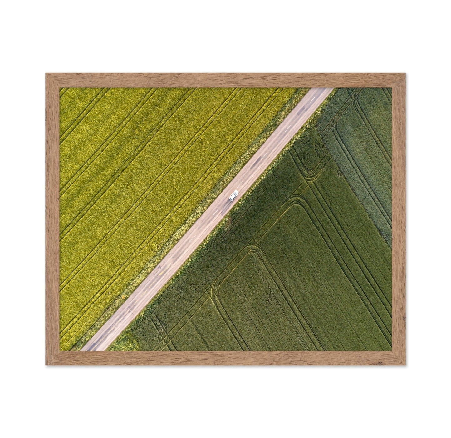Divided Field Road