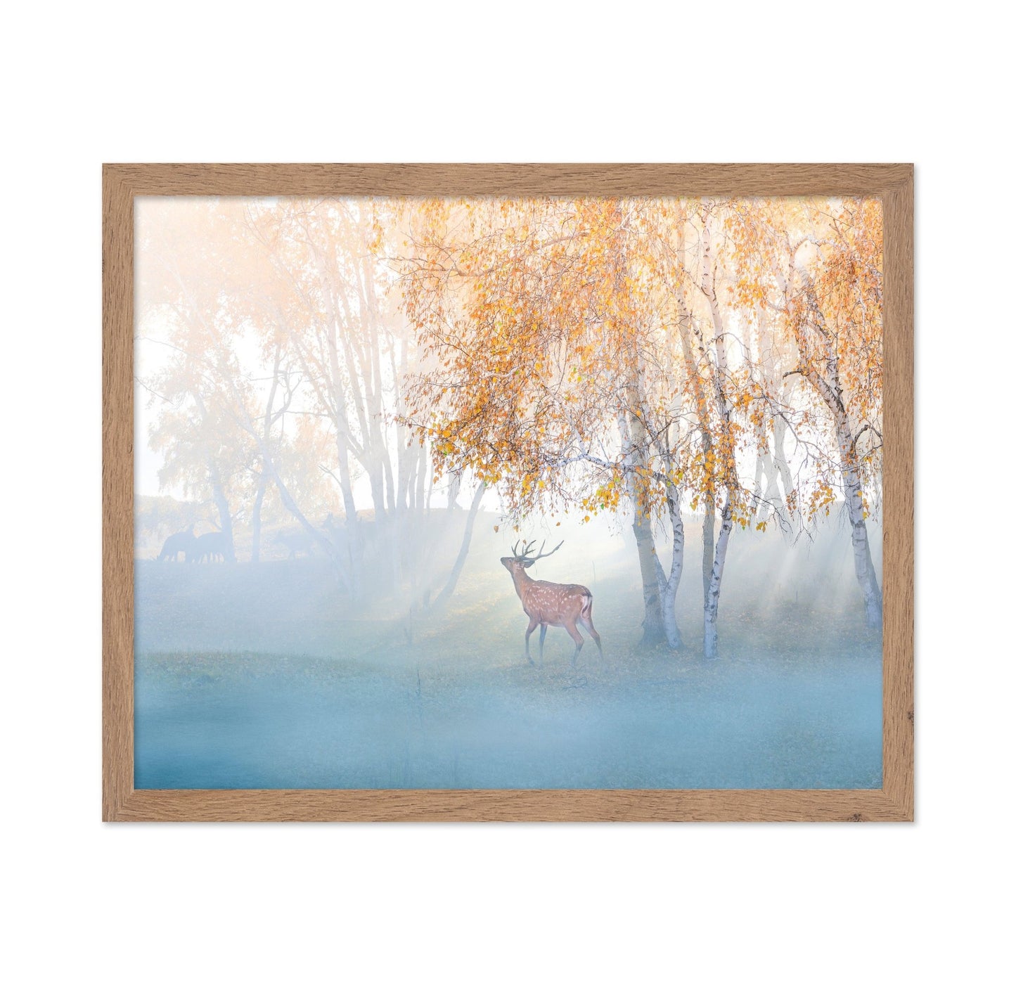 Misty Deer Forest