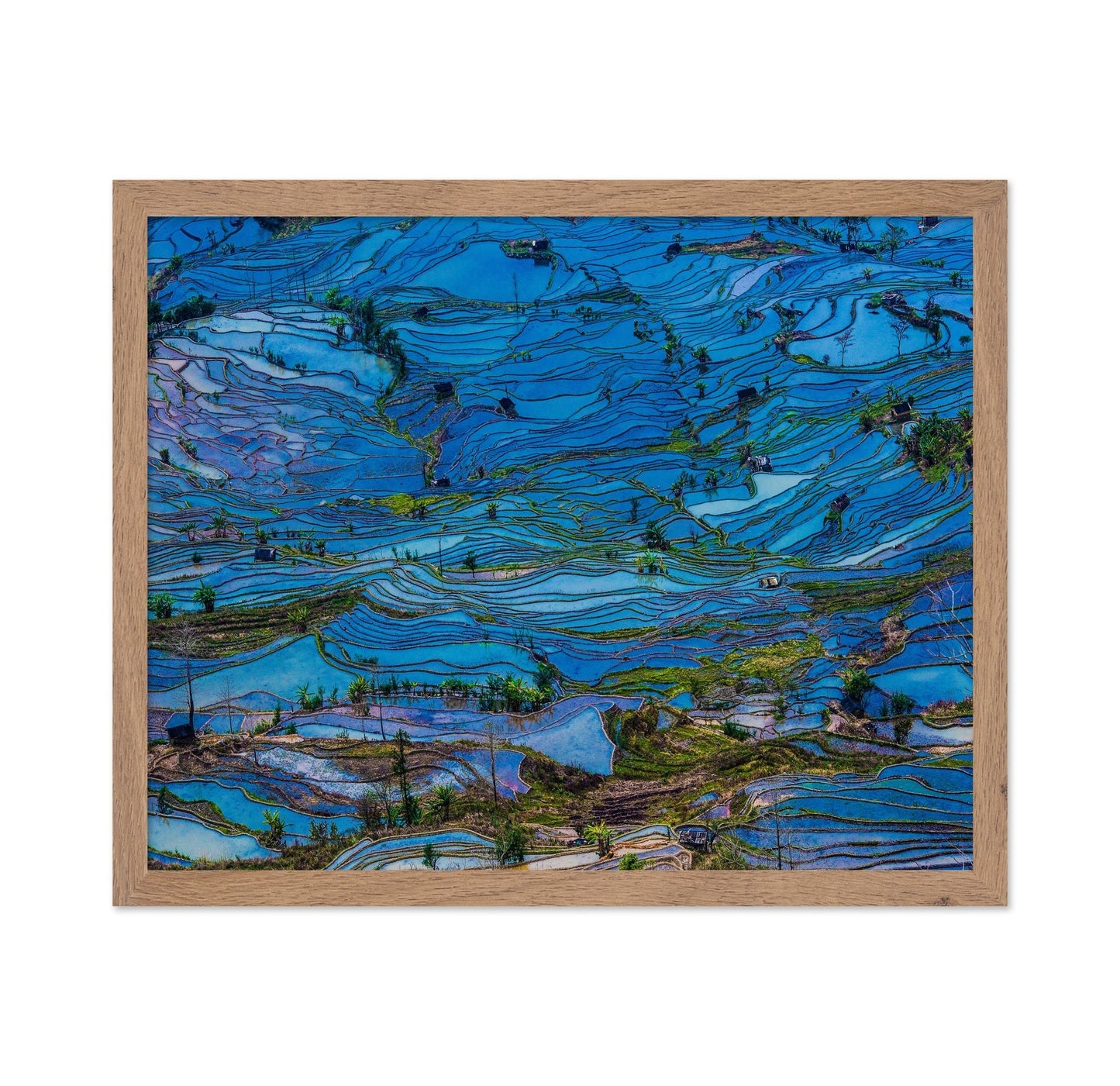 Blue Terrace Fields
