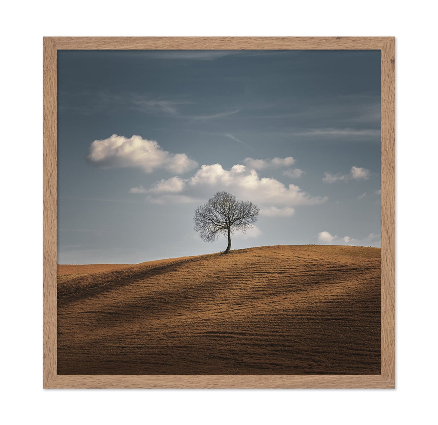 Lone Tree Horizon No2