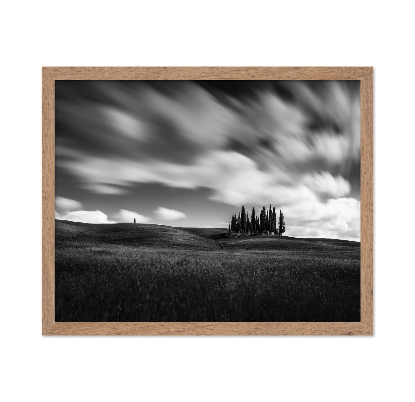 Cypress Hill View