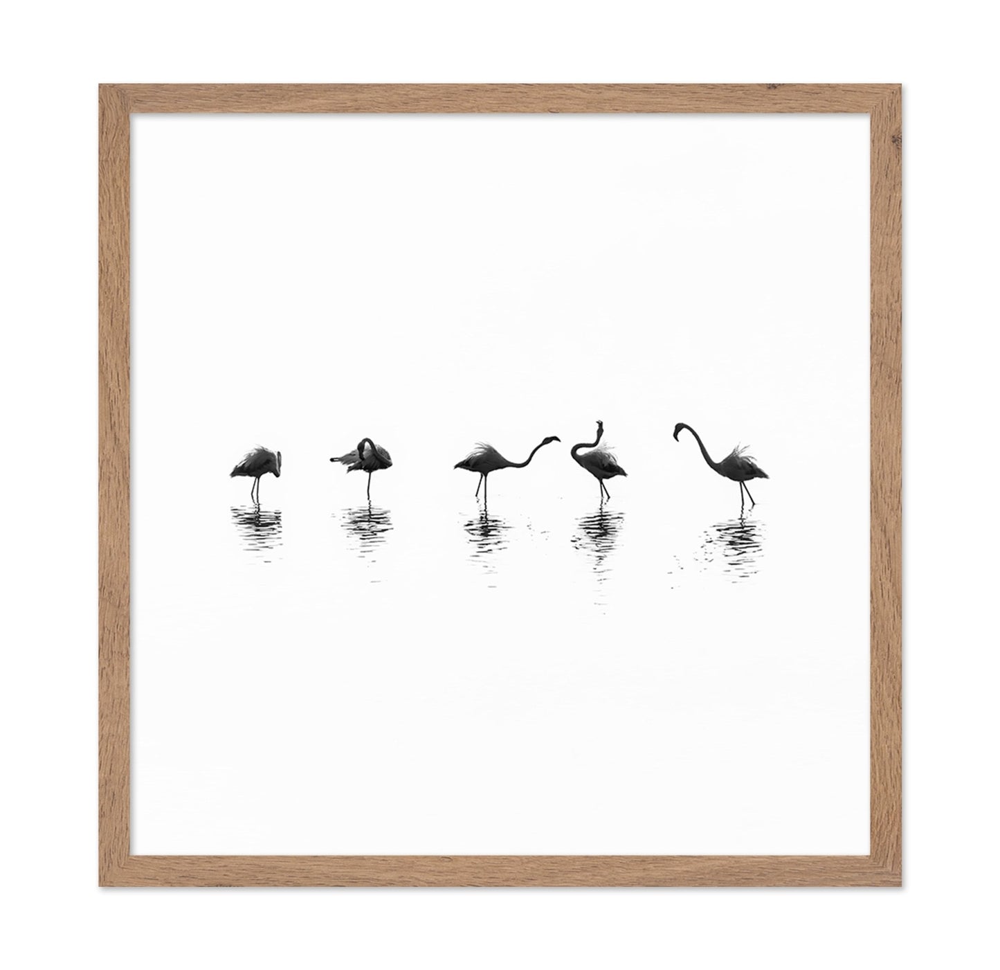 Flamingo Line Dance