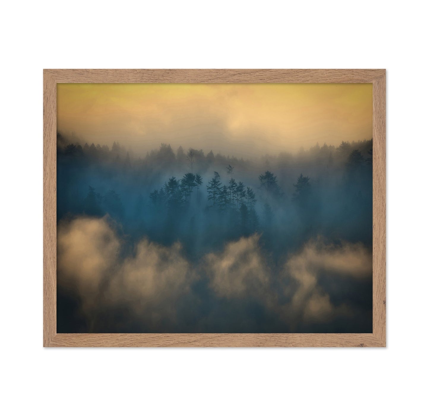 Misty Forest Glow No2