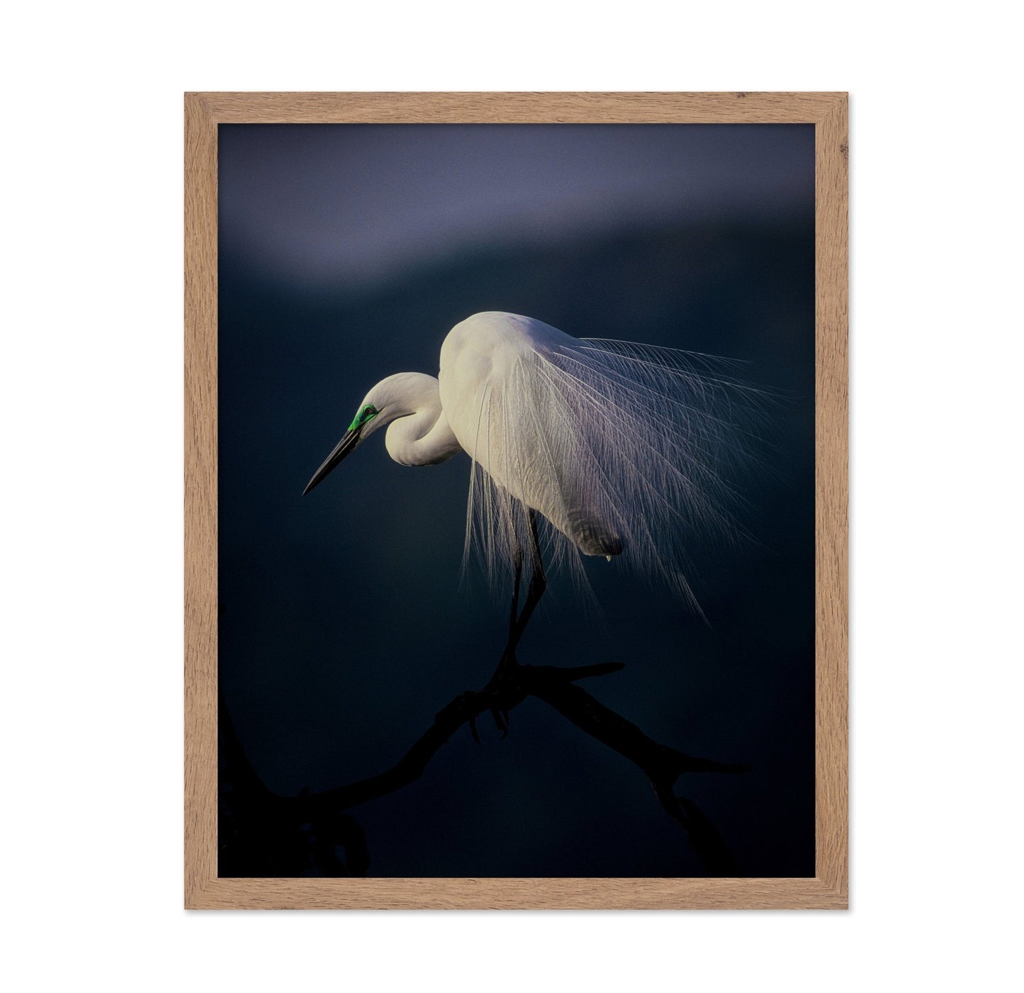 Title: Elegant White Heron