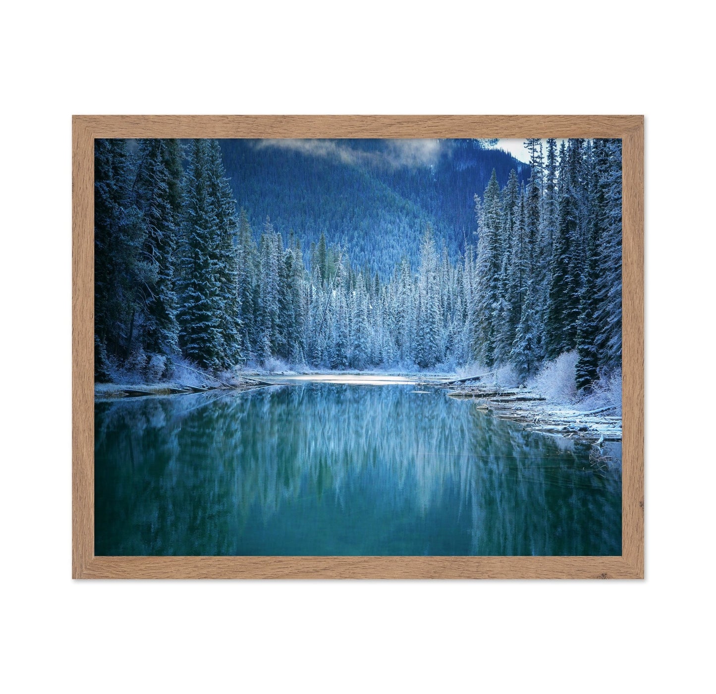 Frozen Forest Lake