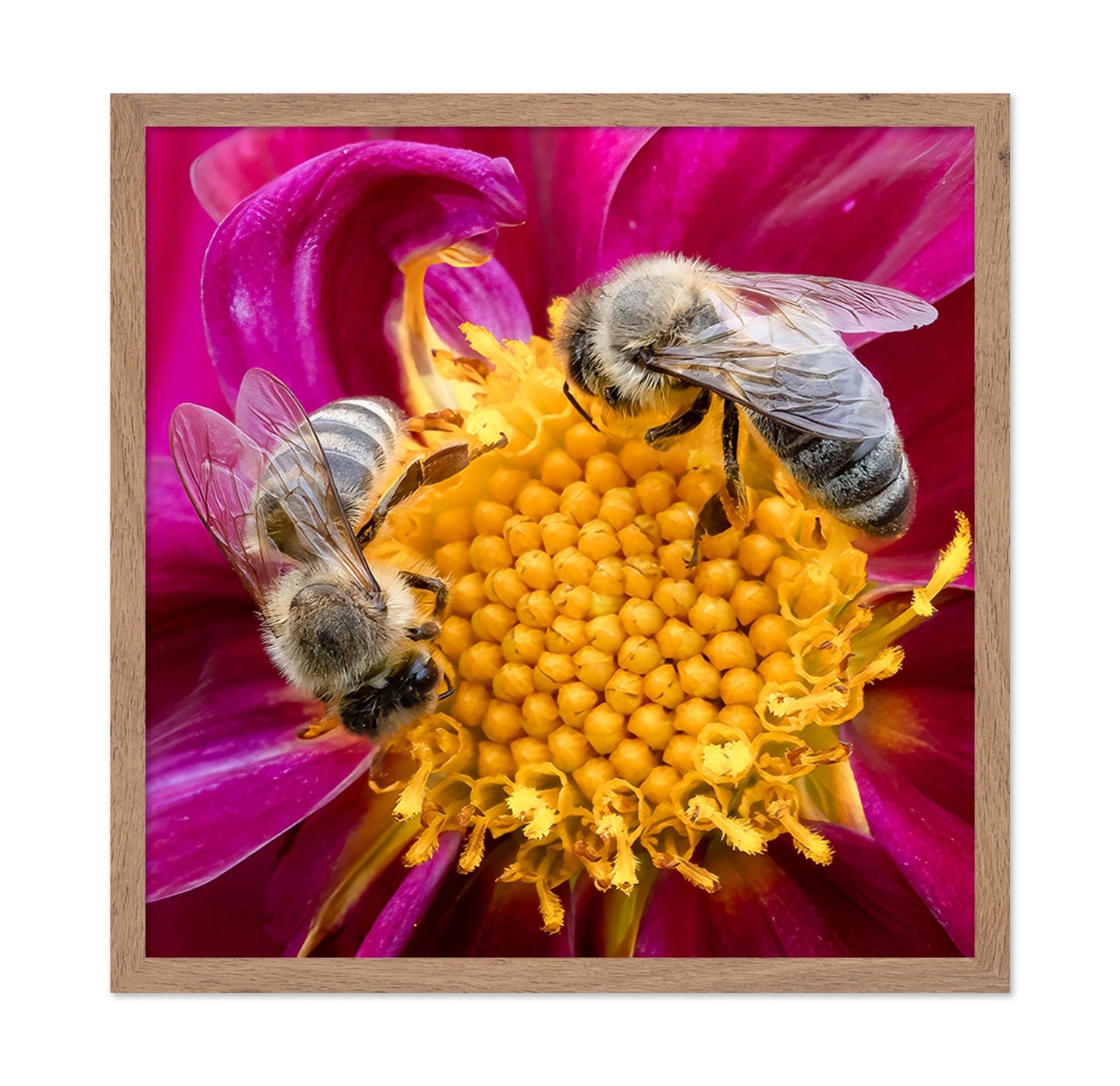 Bees On Pink Flower