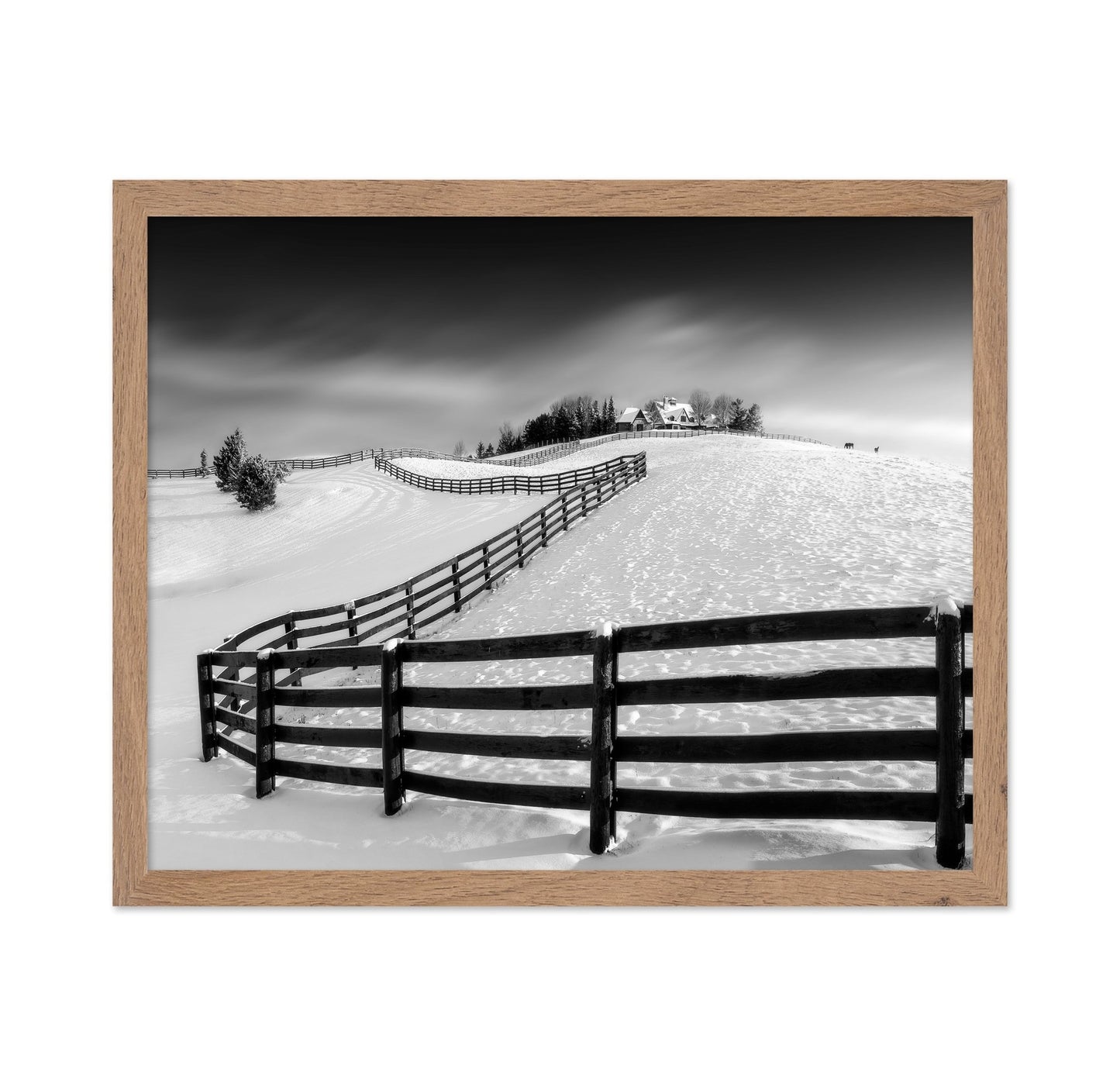 Snowy Fence Hills