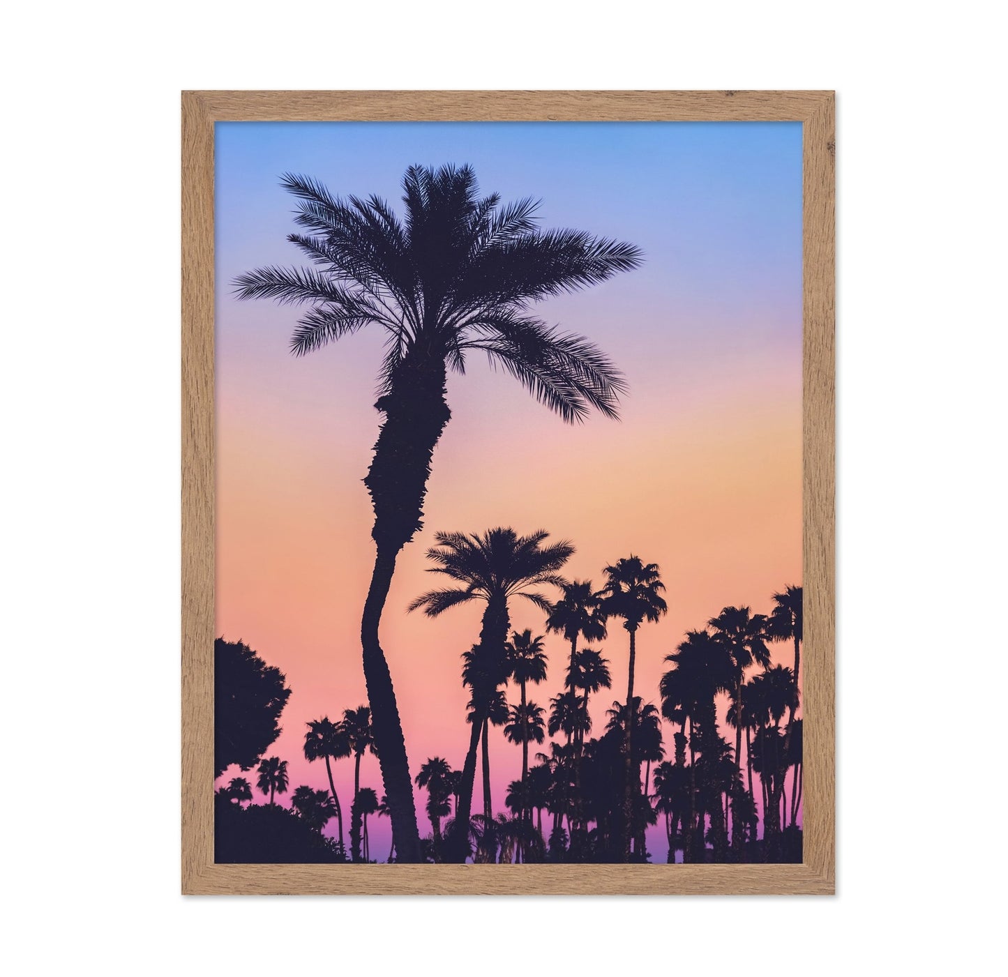 Palm Sunset Silhouette