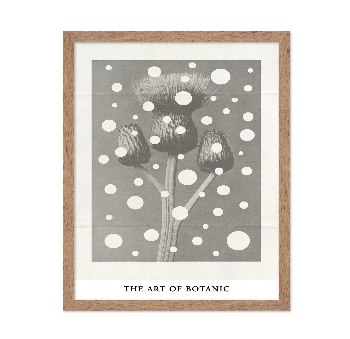 Botanic Dot Overlay