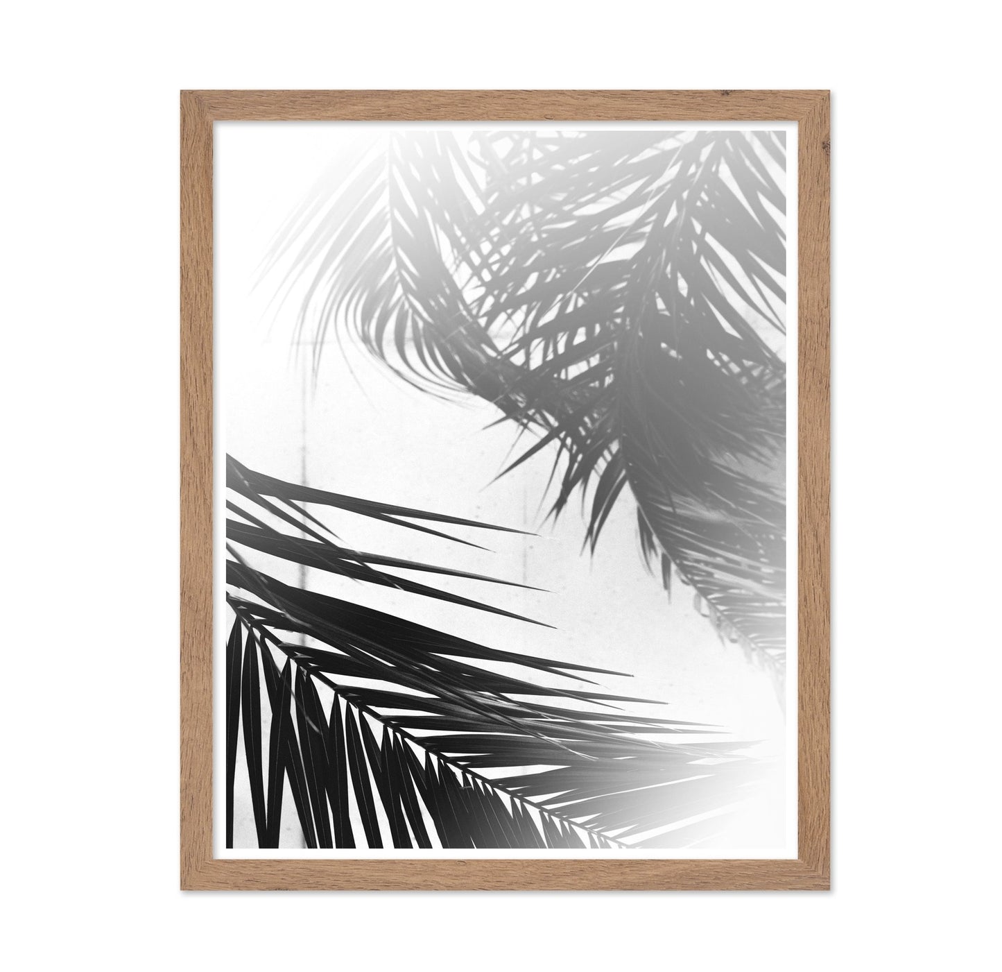 Palm Shadow Light No2