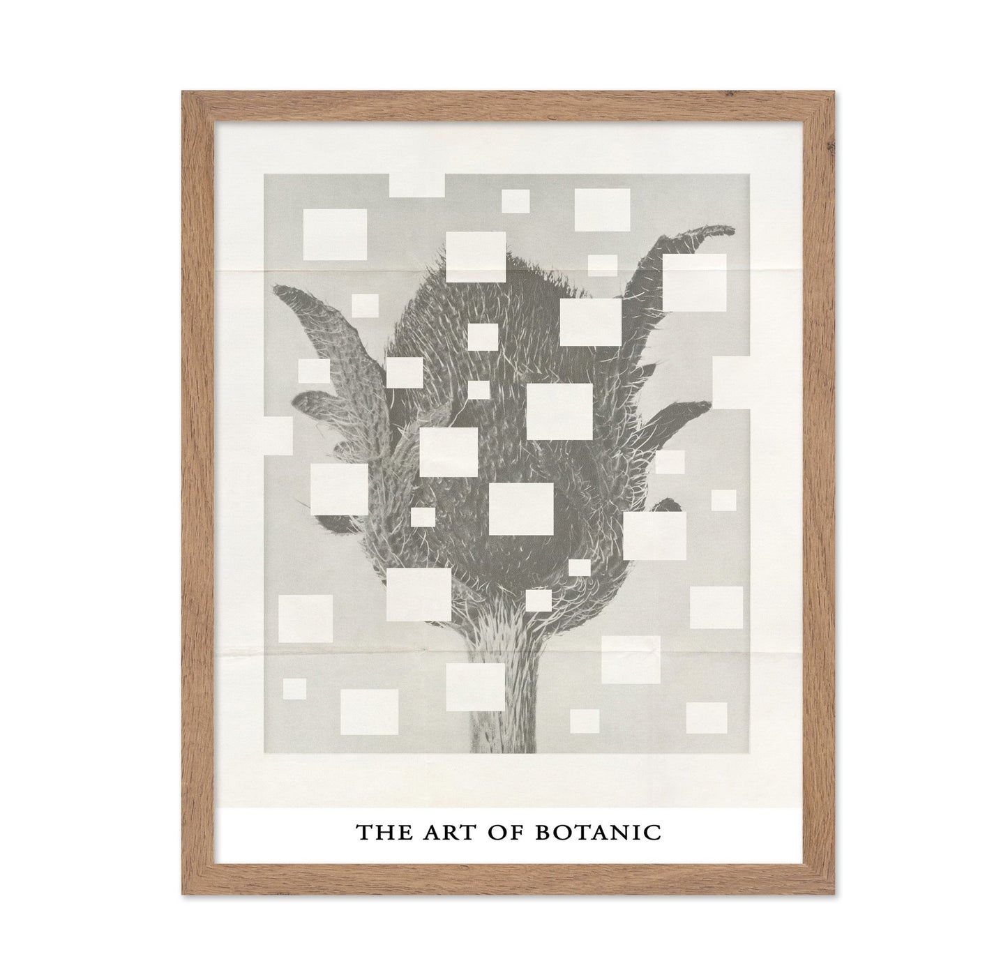 Botanic Grid Bloom