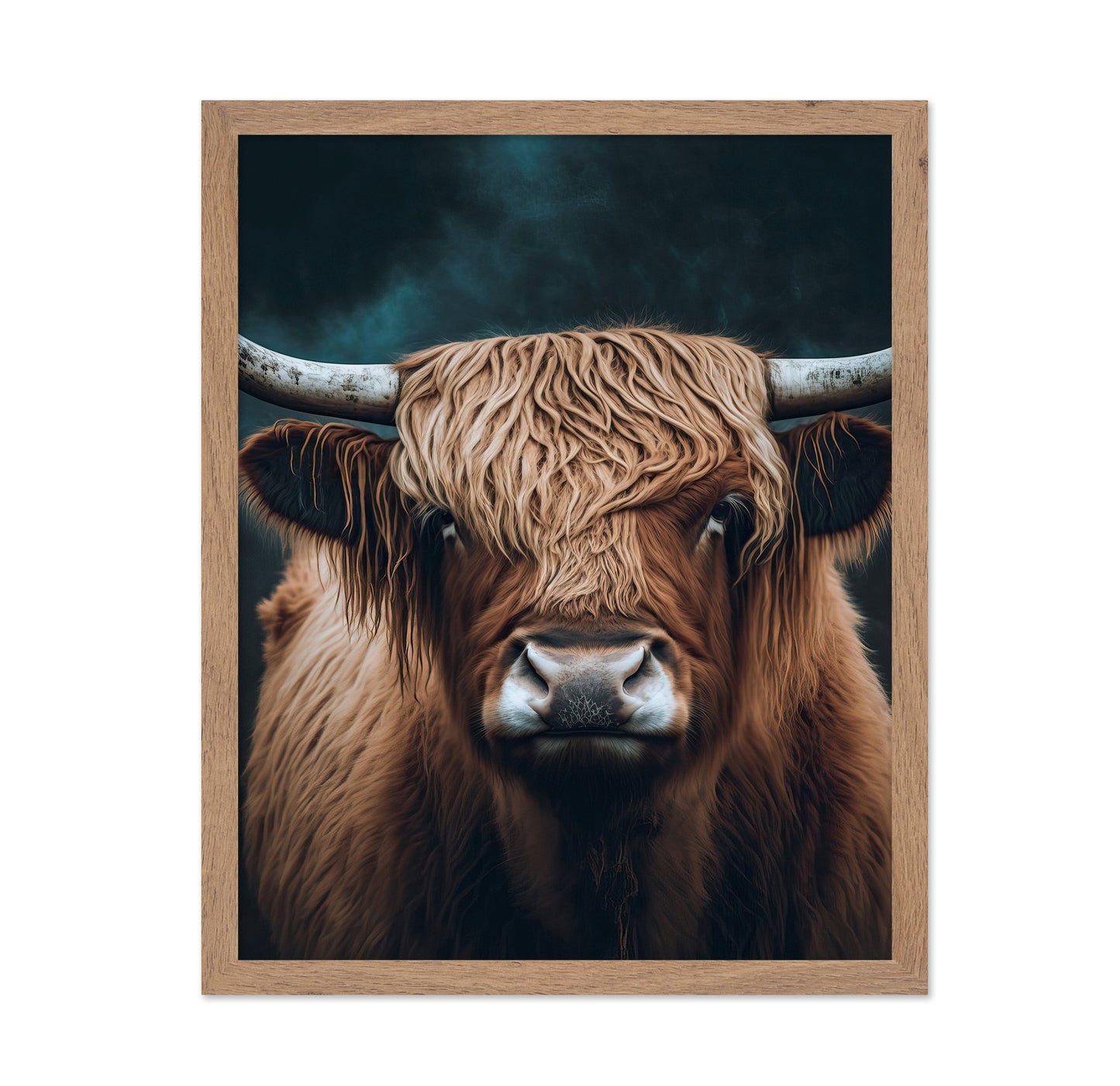 Highland Cow Portrait No5