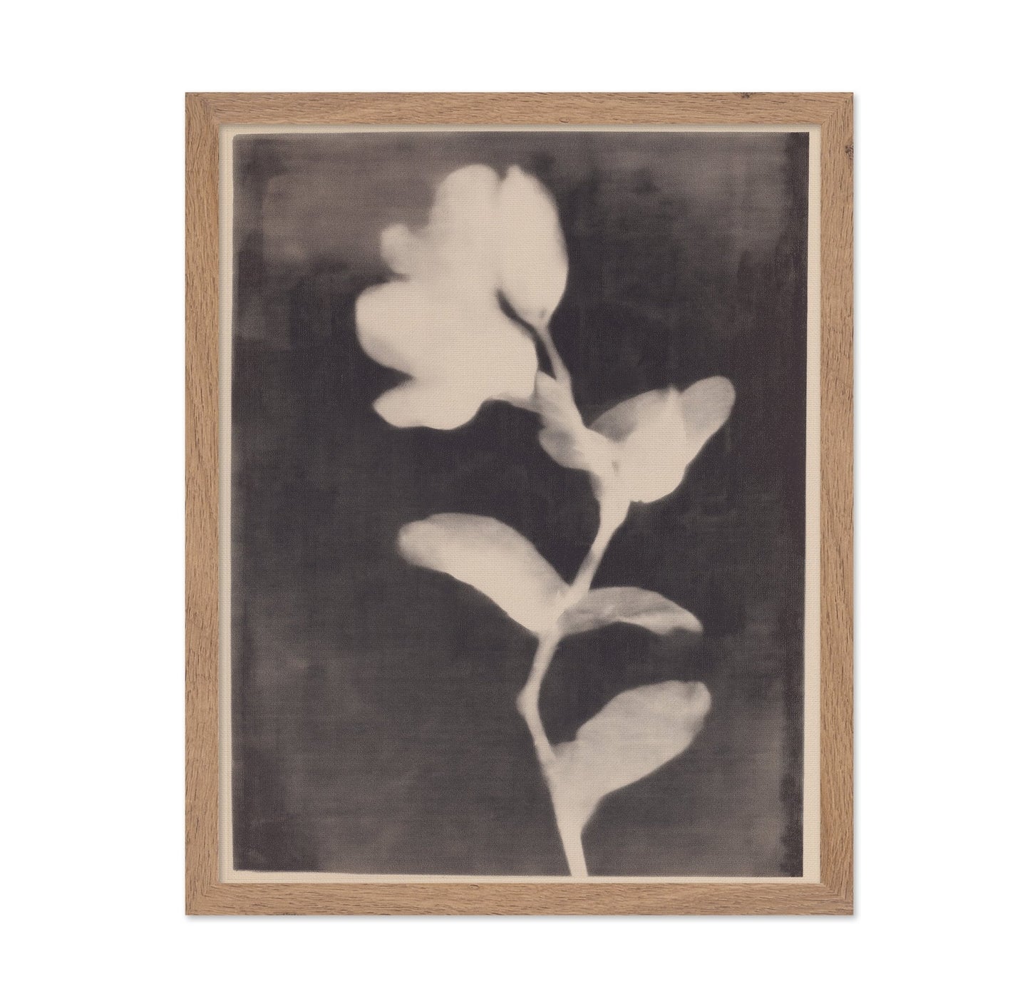 Vintage Floral Silhouette