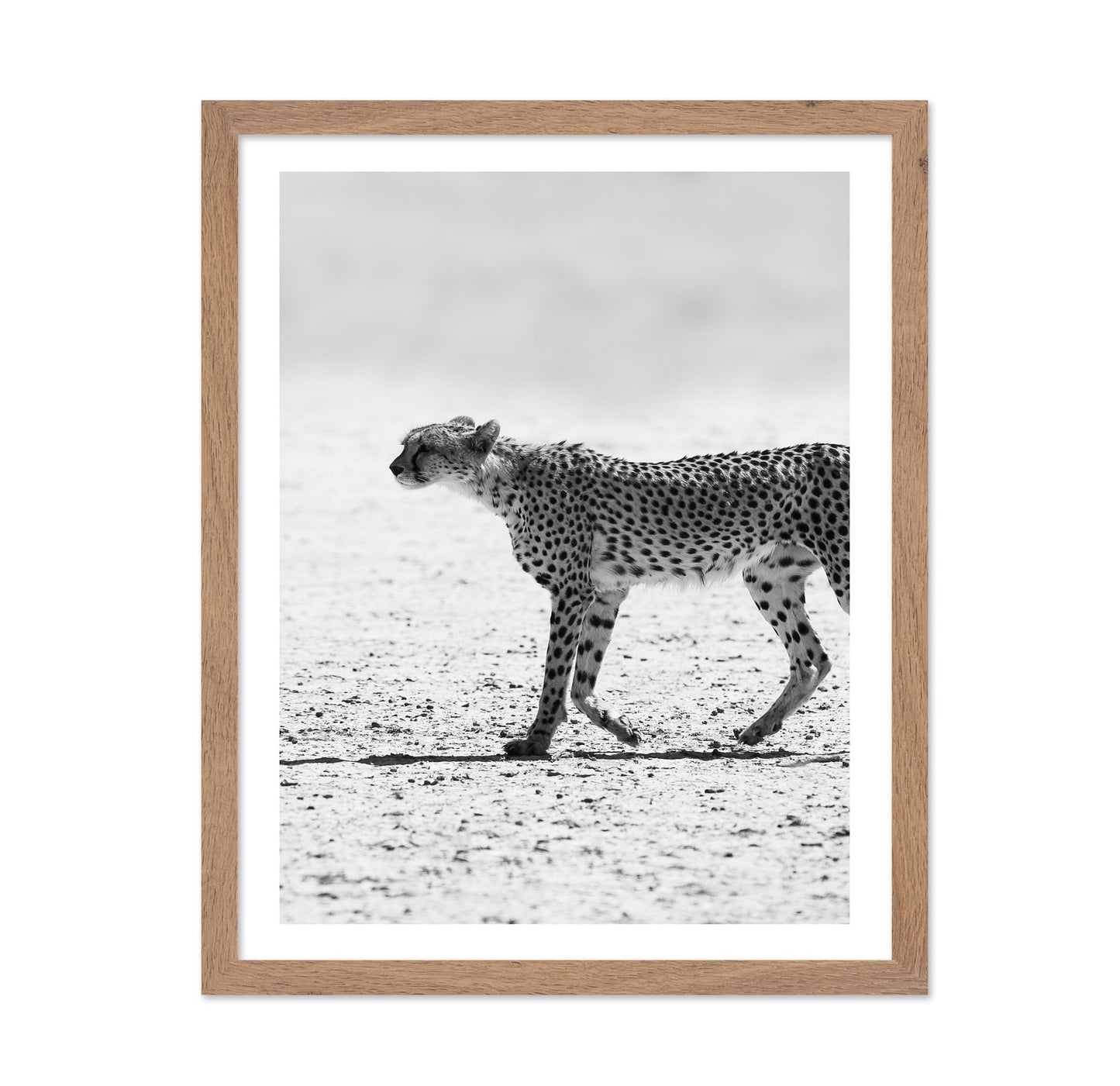 Walking Cheetah