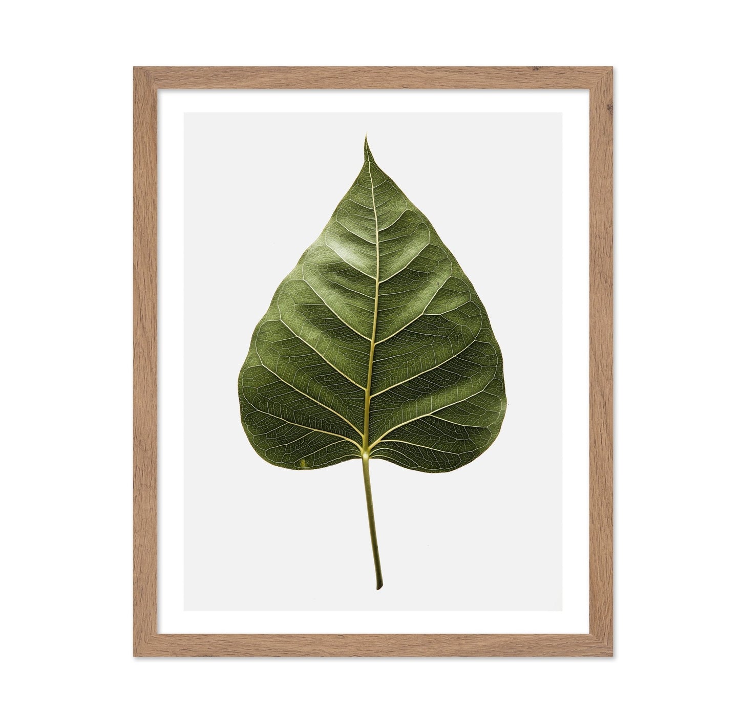 Botanical Leaf Detail