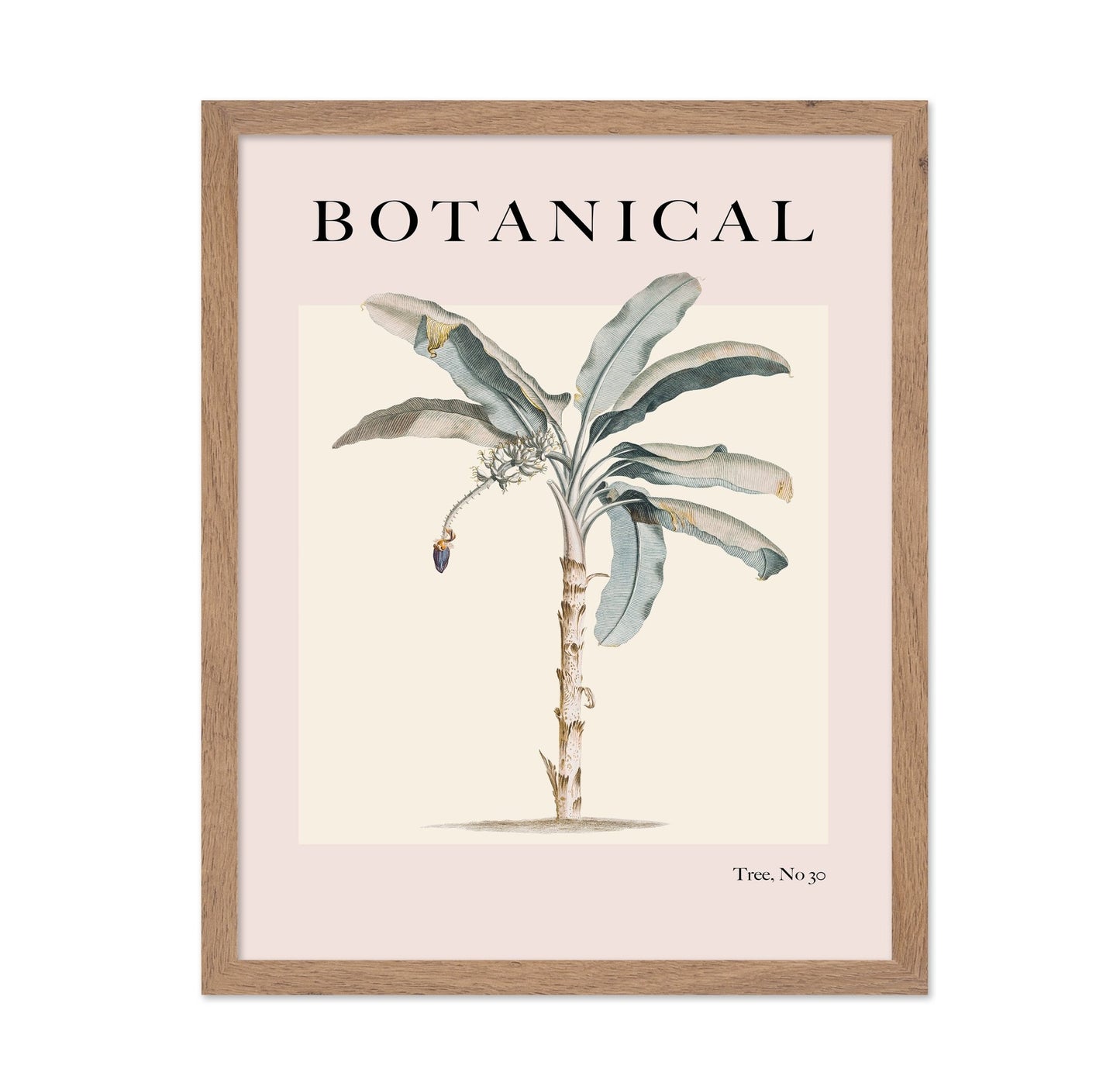 Vintage Botanical Palm