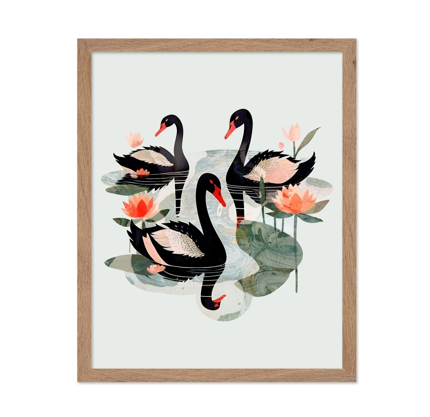 Black Swans Lotus