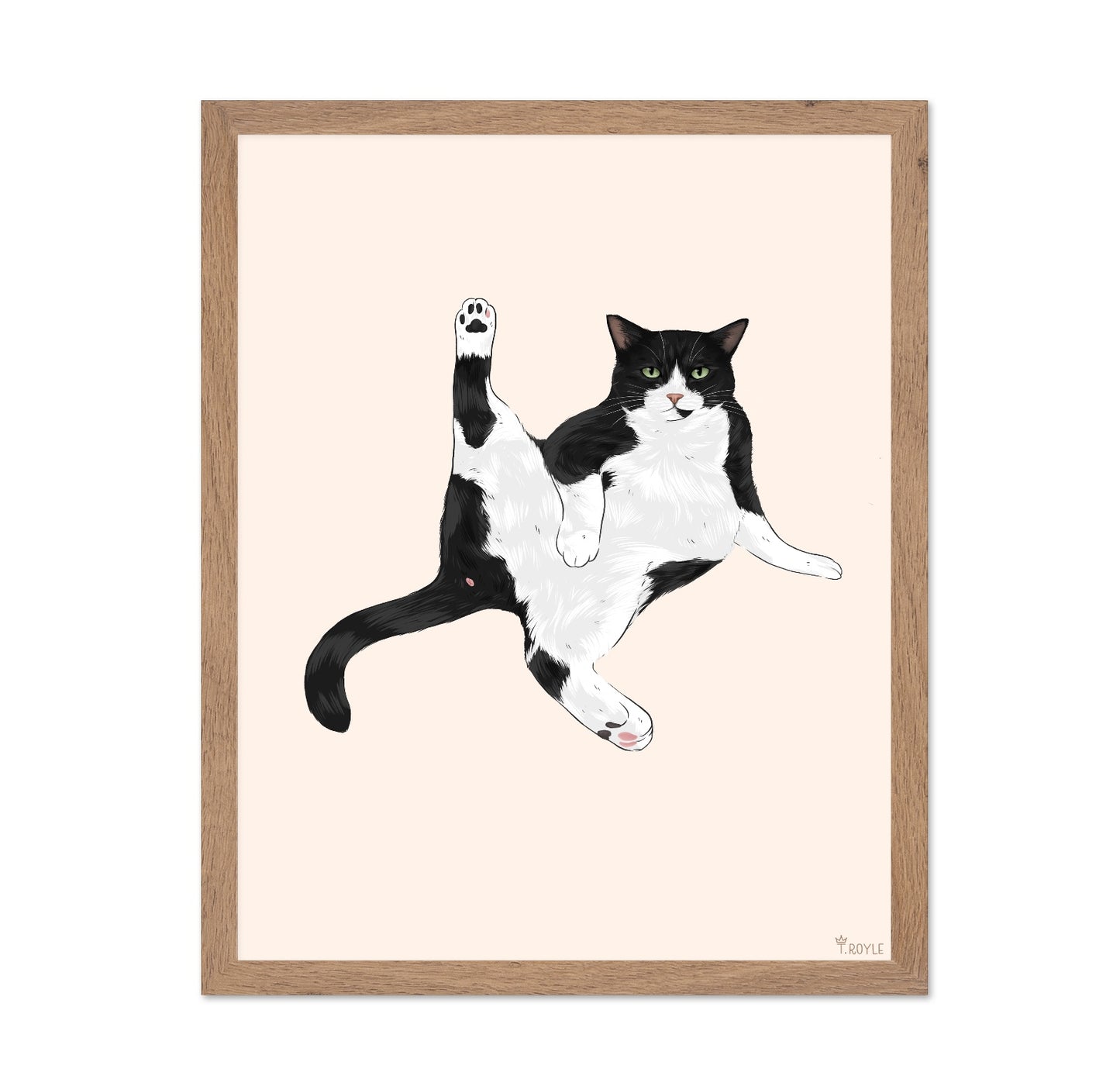 Playful Stretch Cat