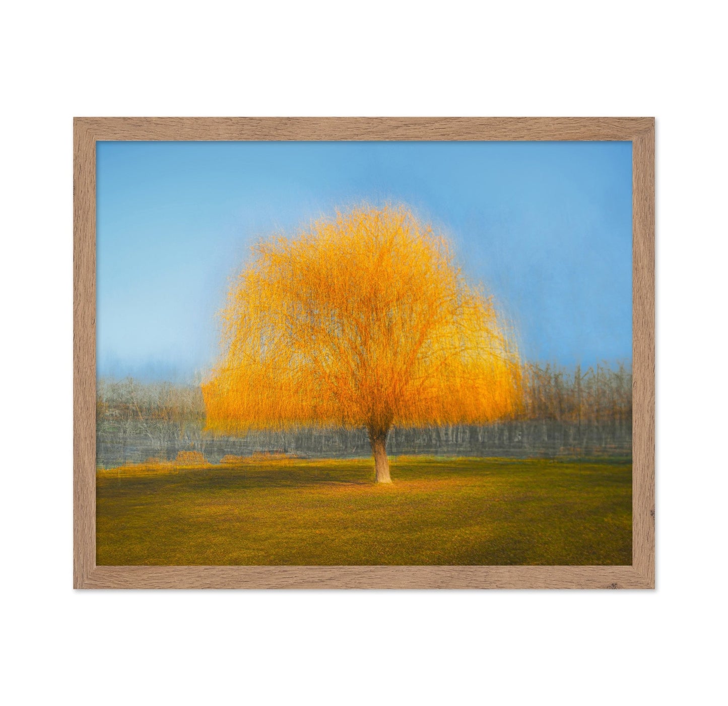 Golden Dream Tree