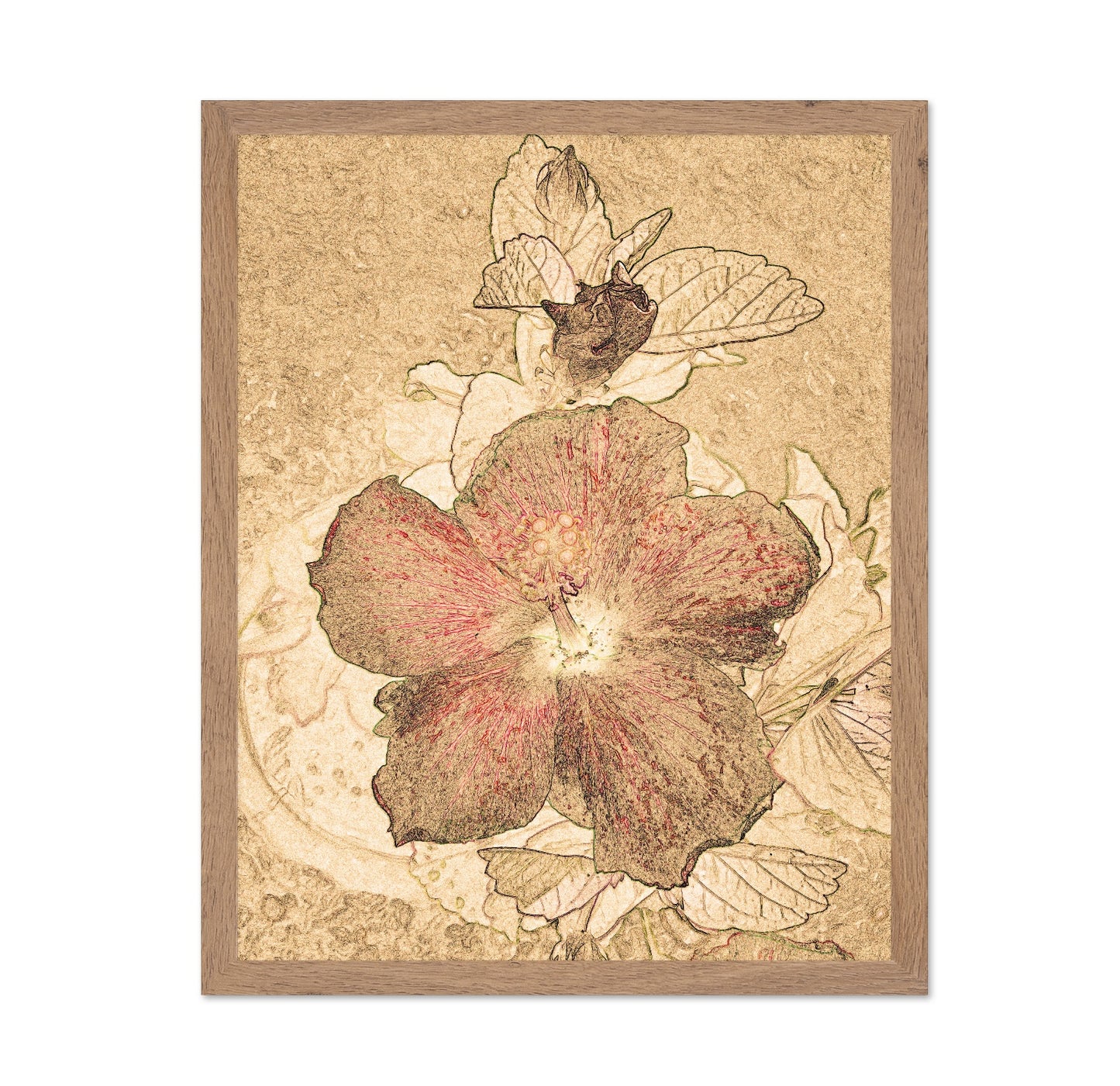 Vintage Floral Sketch No2