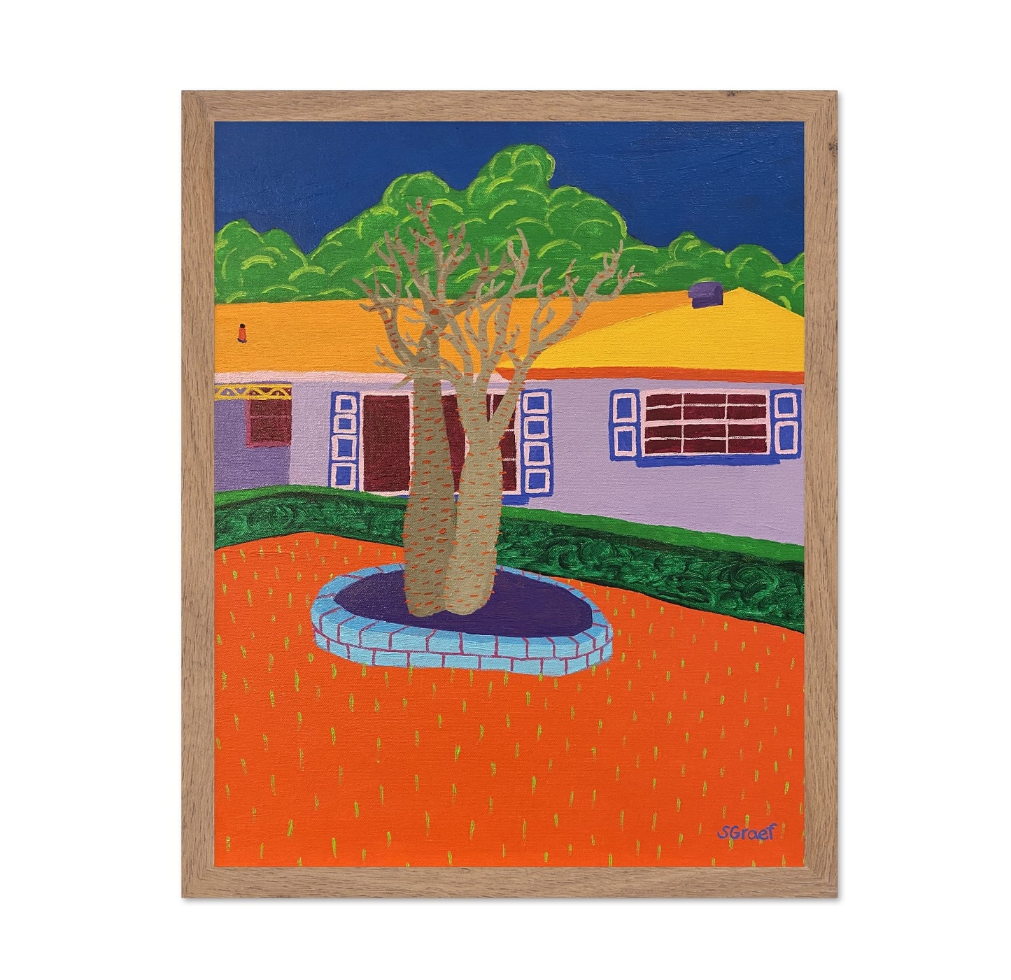 Desert Yard Tree